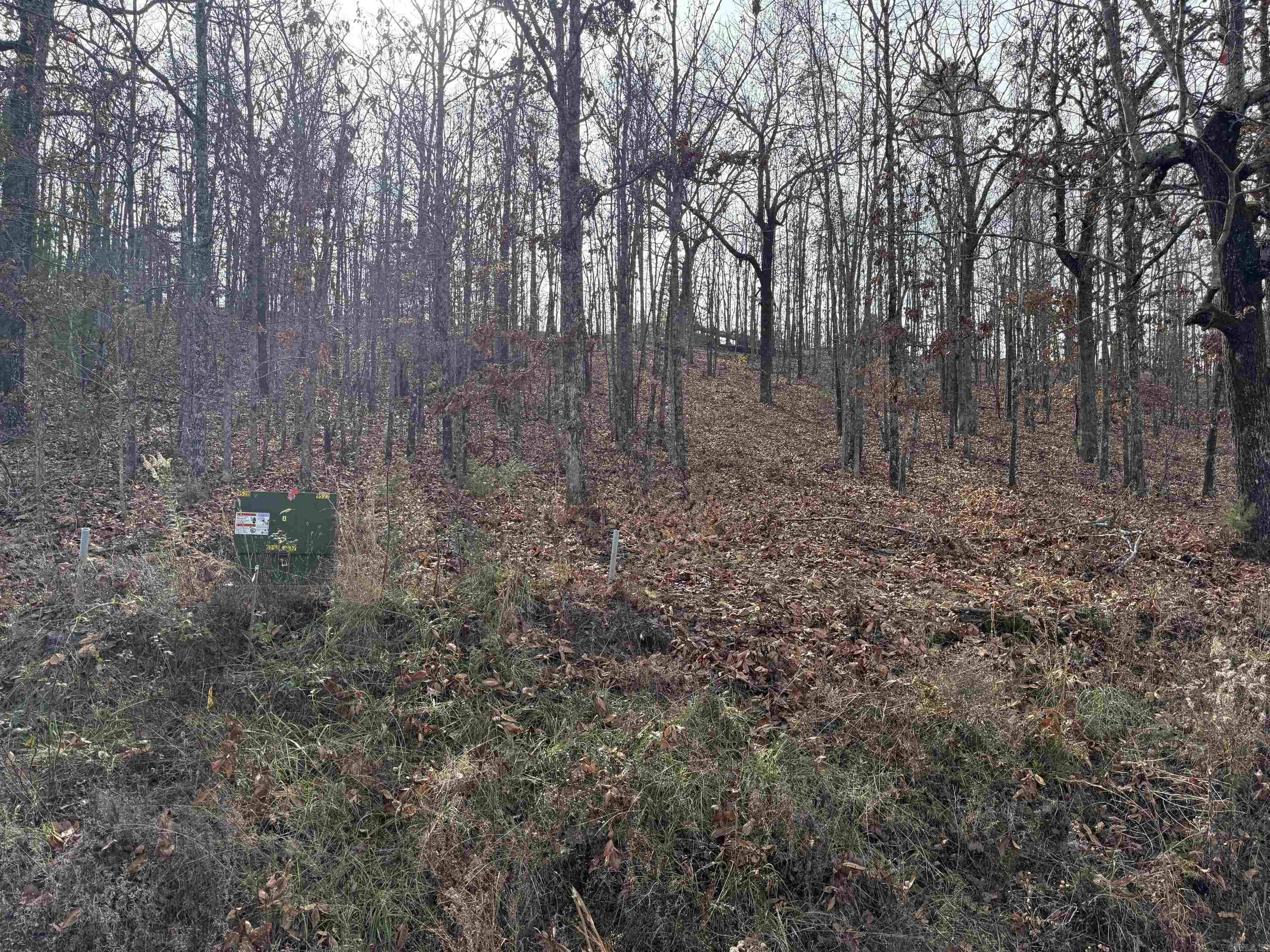 Tract 93 Vernon Court Road Property Photo 2
