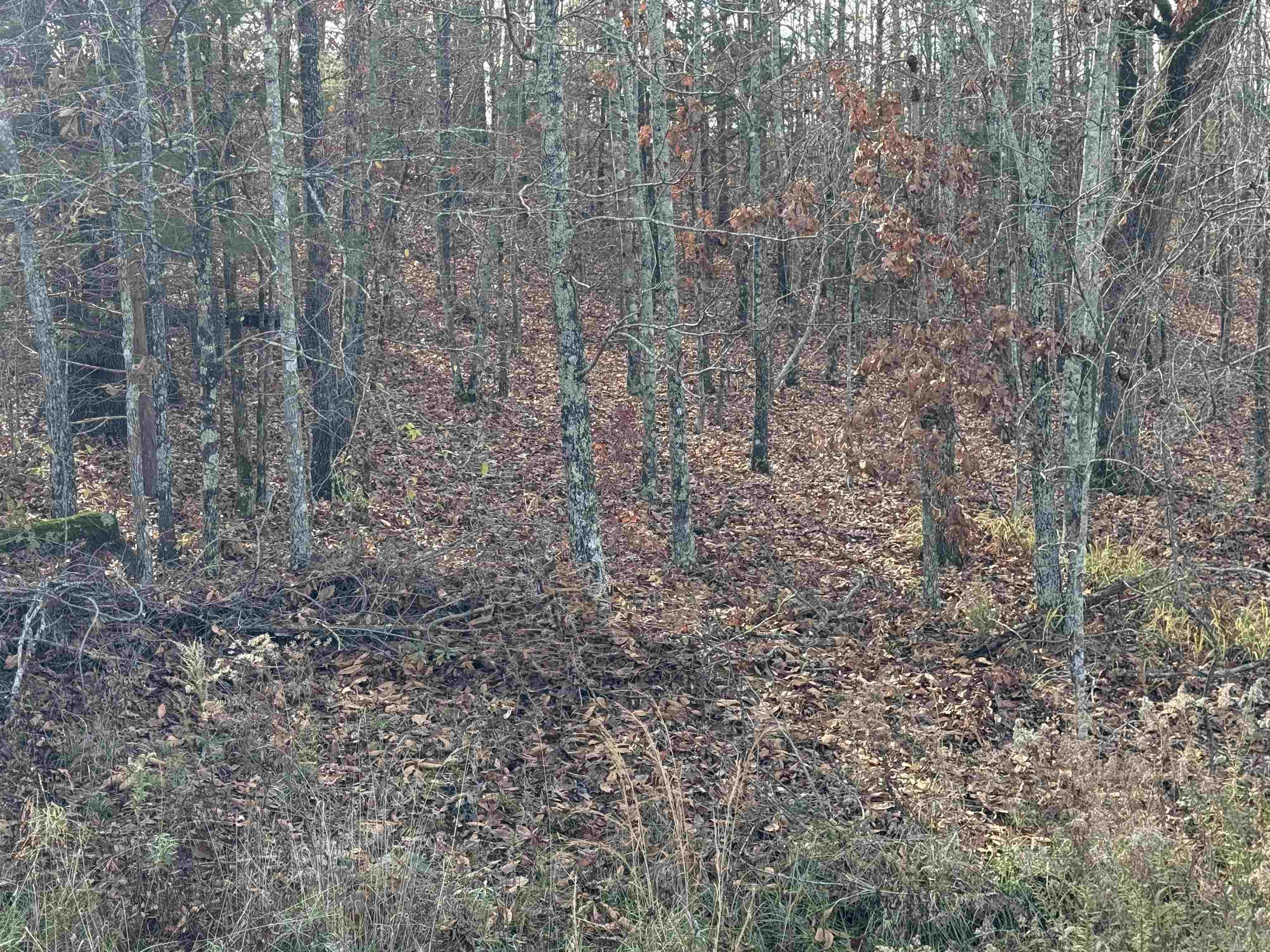 Tract 94 95 Vernon Court Road Property Photo 2
