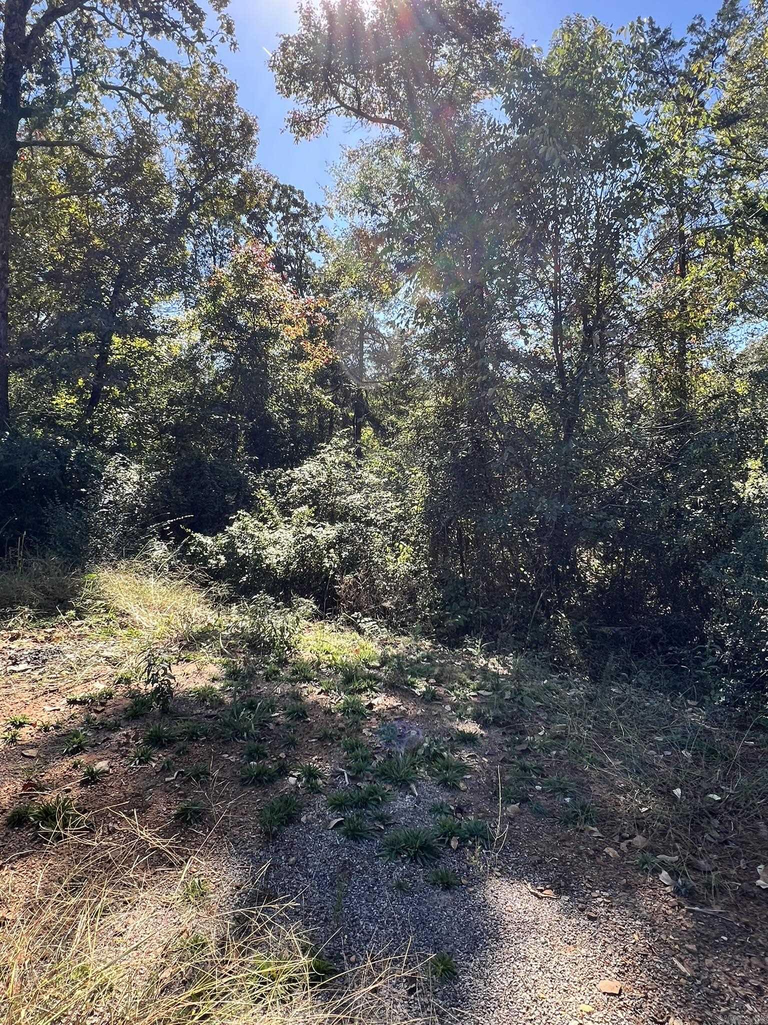 1011 Granny Hollar Road Property Photo 36