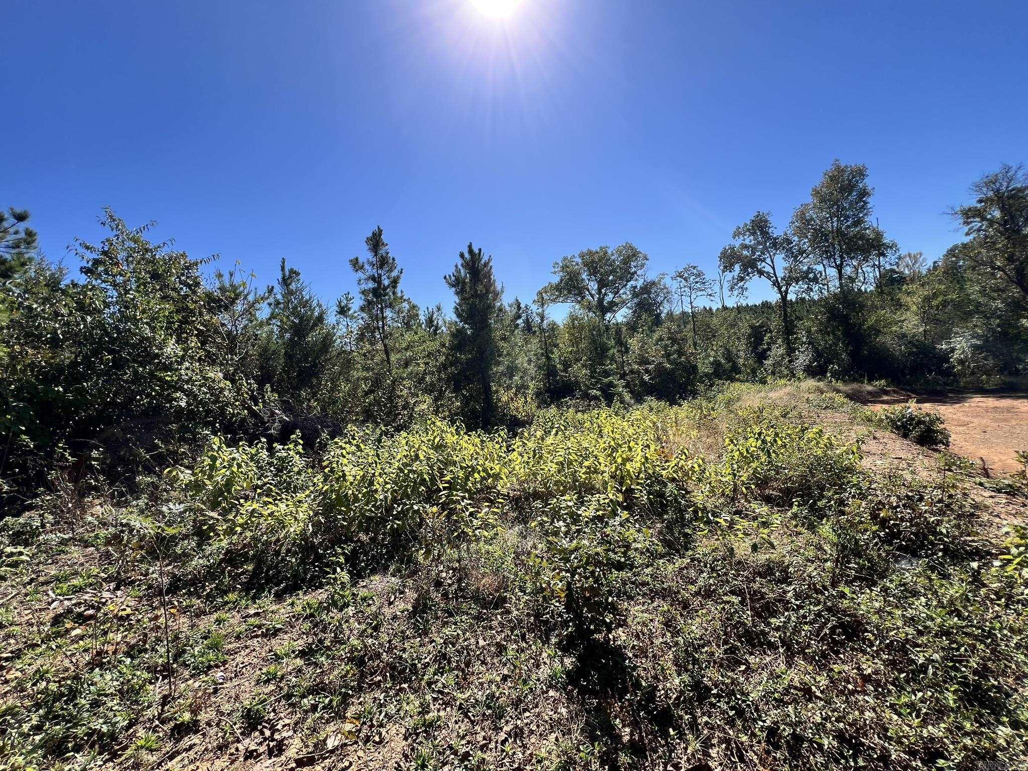 1011 Granny Hollar Road Property Photo 44