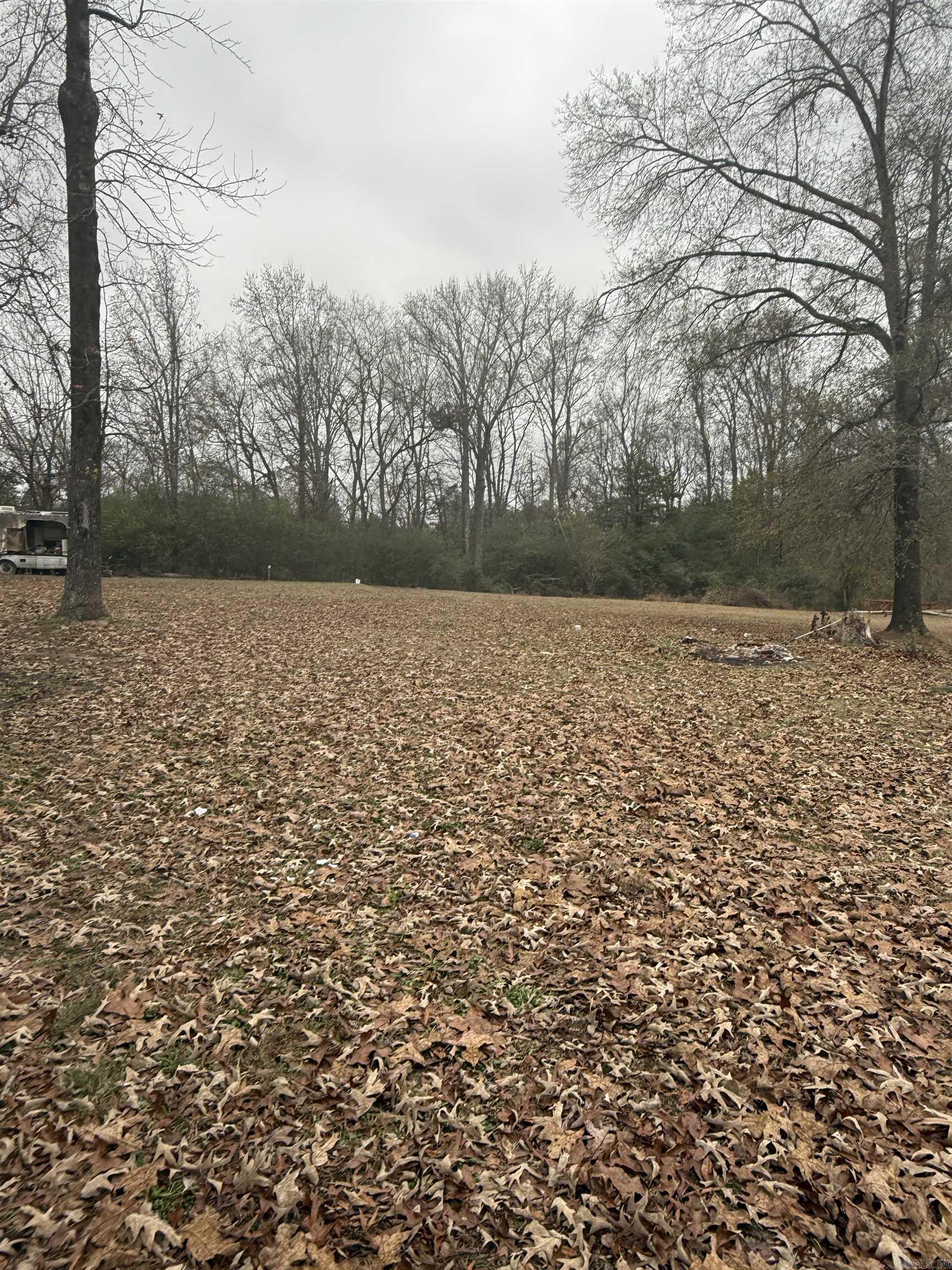 1531 Letona Road Property Photo 4