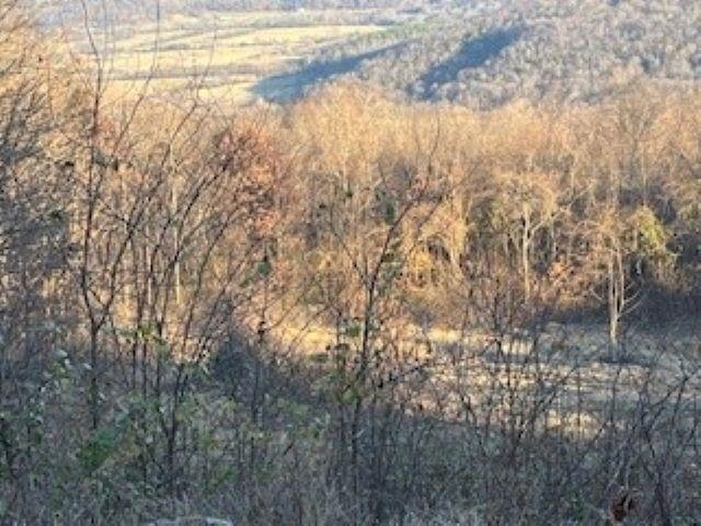 000 Cooper Point Property Photo 1