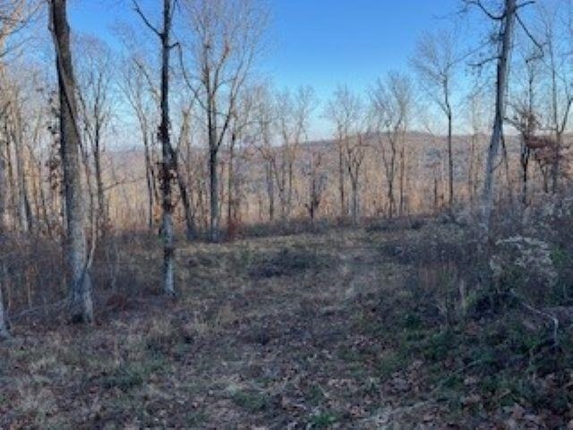 000 Cooper Point Property Photo 3