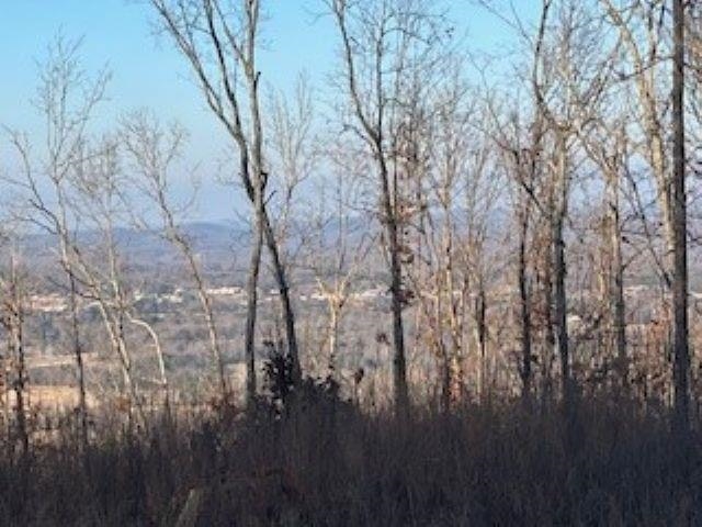 000 Cooper Point Property Photo 4