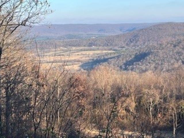 000 Cooper Point Property Photo 5