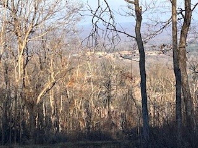 000 Cooper Point Property Photo 6