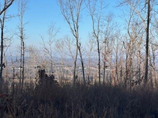 000 Cooper Point Property Photo 9