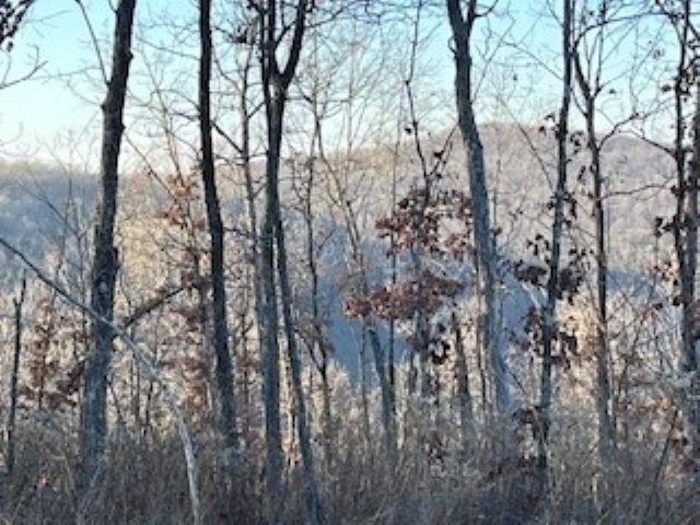 000 Cooper Point Property Photo 10
