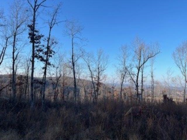 000 Cooper Point Property Photo 11