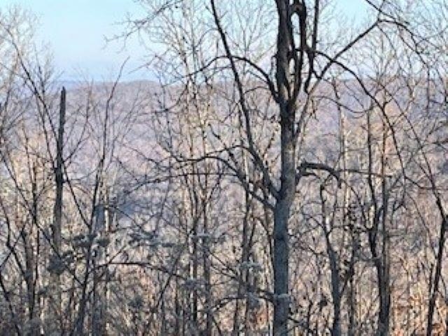 000 Cooper Point Property Photo 12