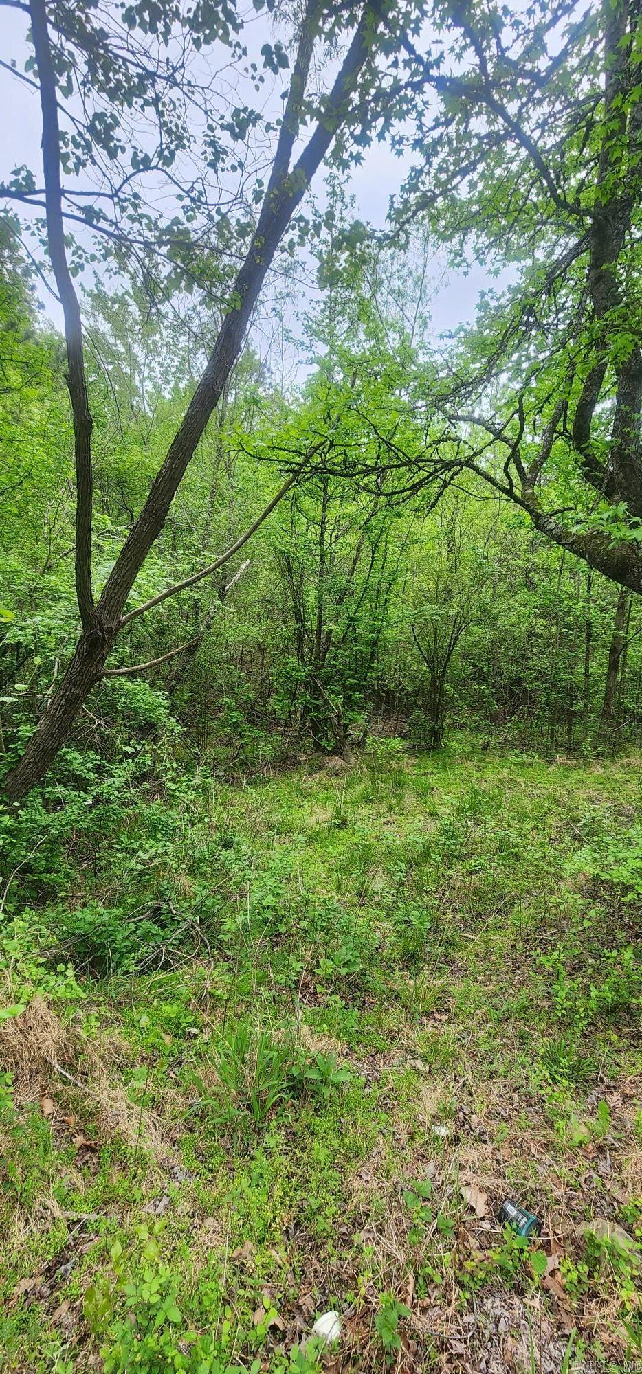 Tbd Polk Road 117 Property Photo 8
