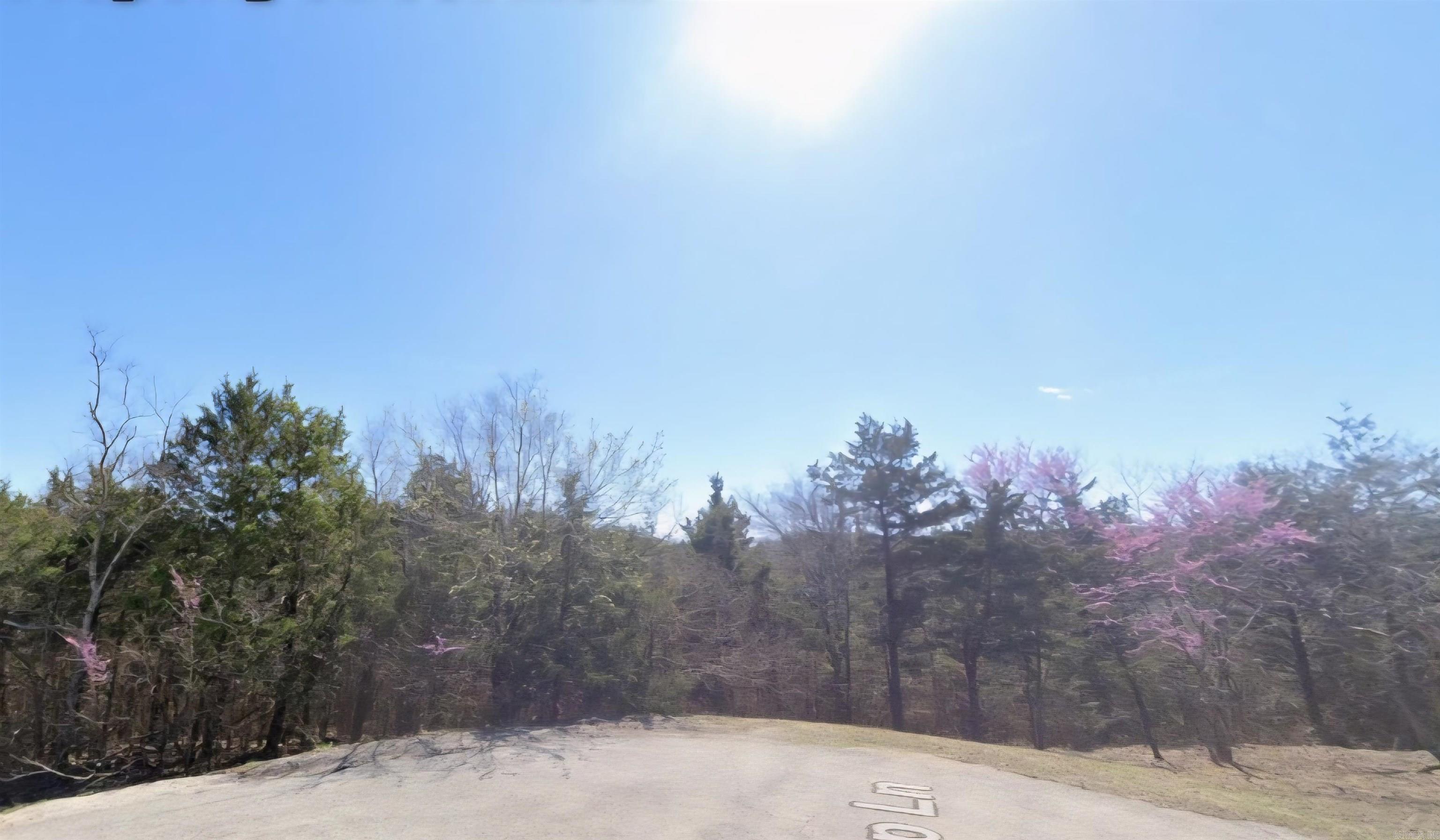 Lot 38 Suntop Lane Property Photo 1