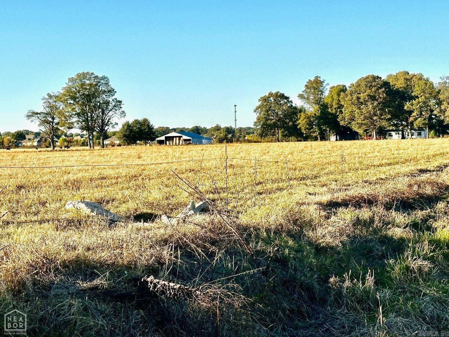 48 +/- Ac County Road 936 Property Photo 7