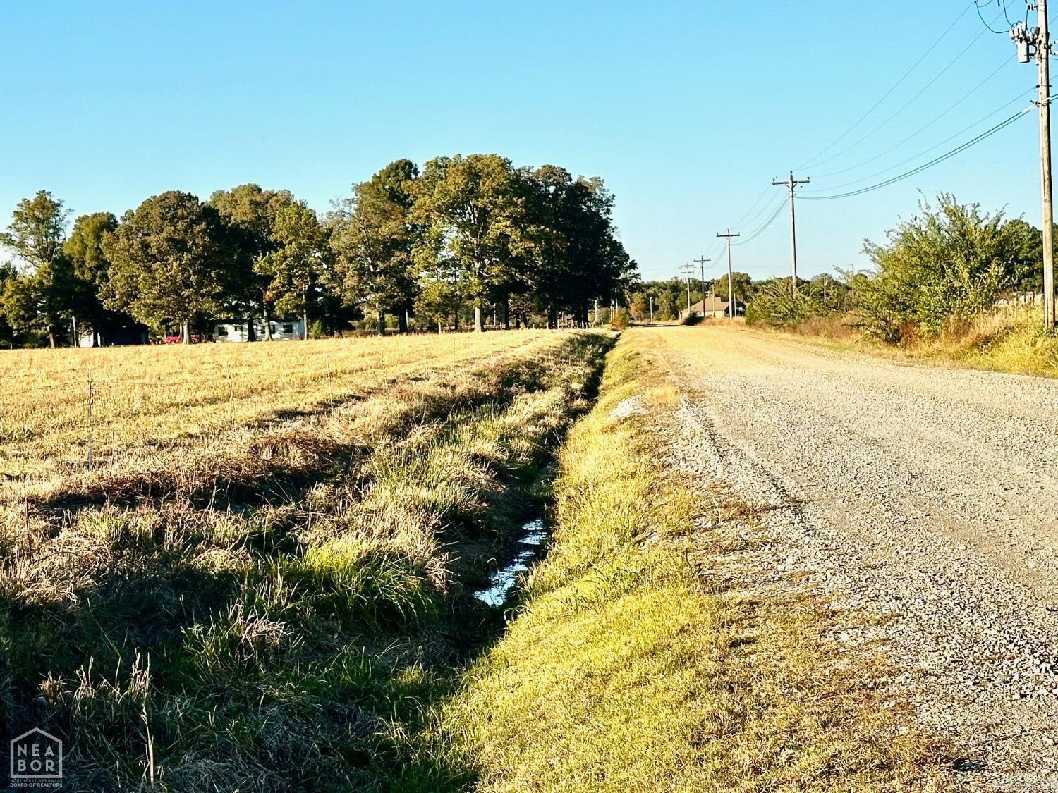 48 +/- Ac County Road 936 Property Photo 8