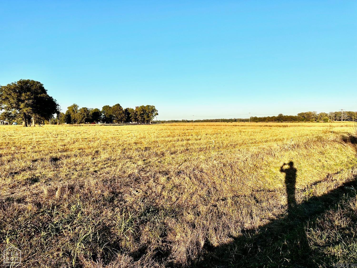 48 +/- Ac County Road 936 Property Photo 13