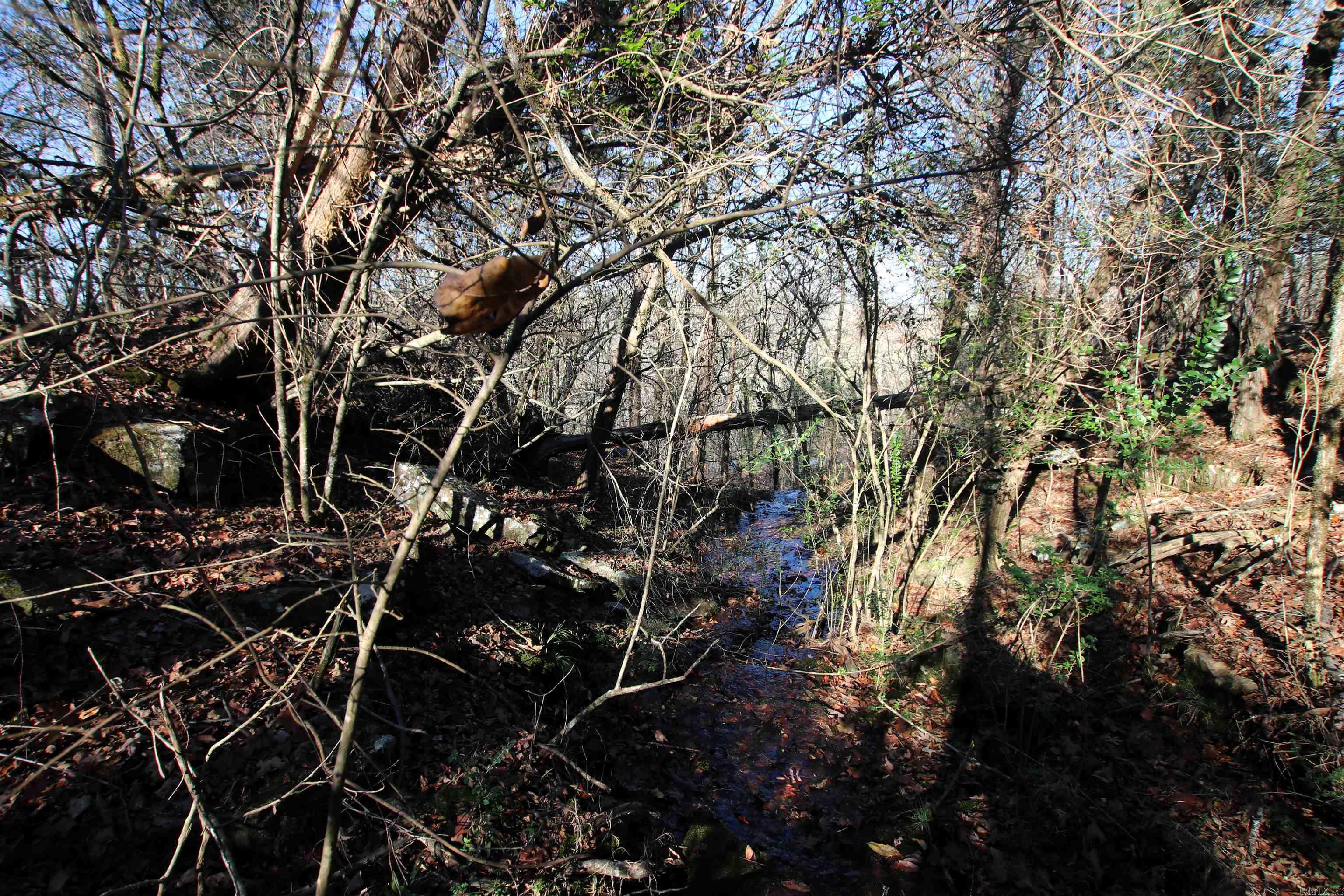 287 Copeland Cave Road Property Photo 2