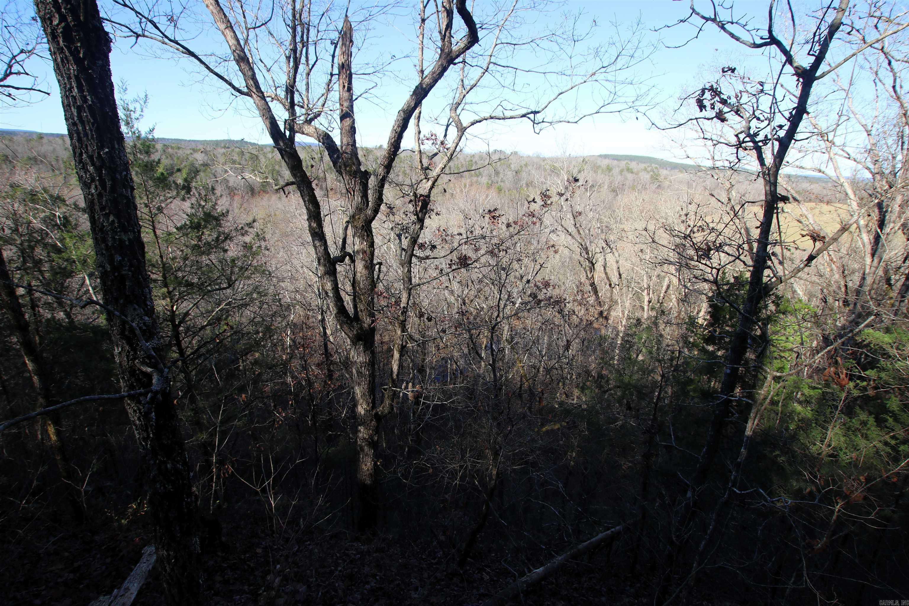 287 Copeland Cave Road Property Photo 28