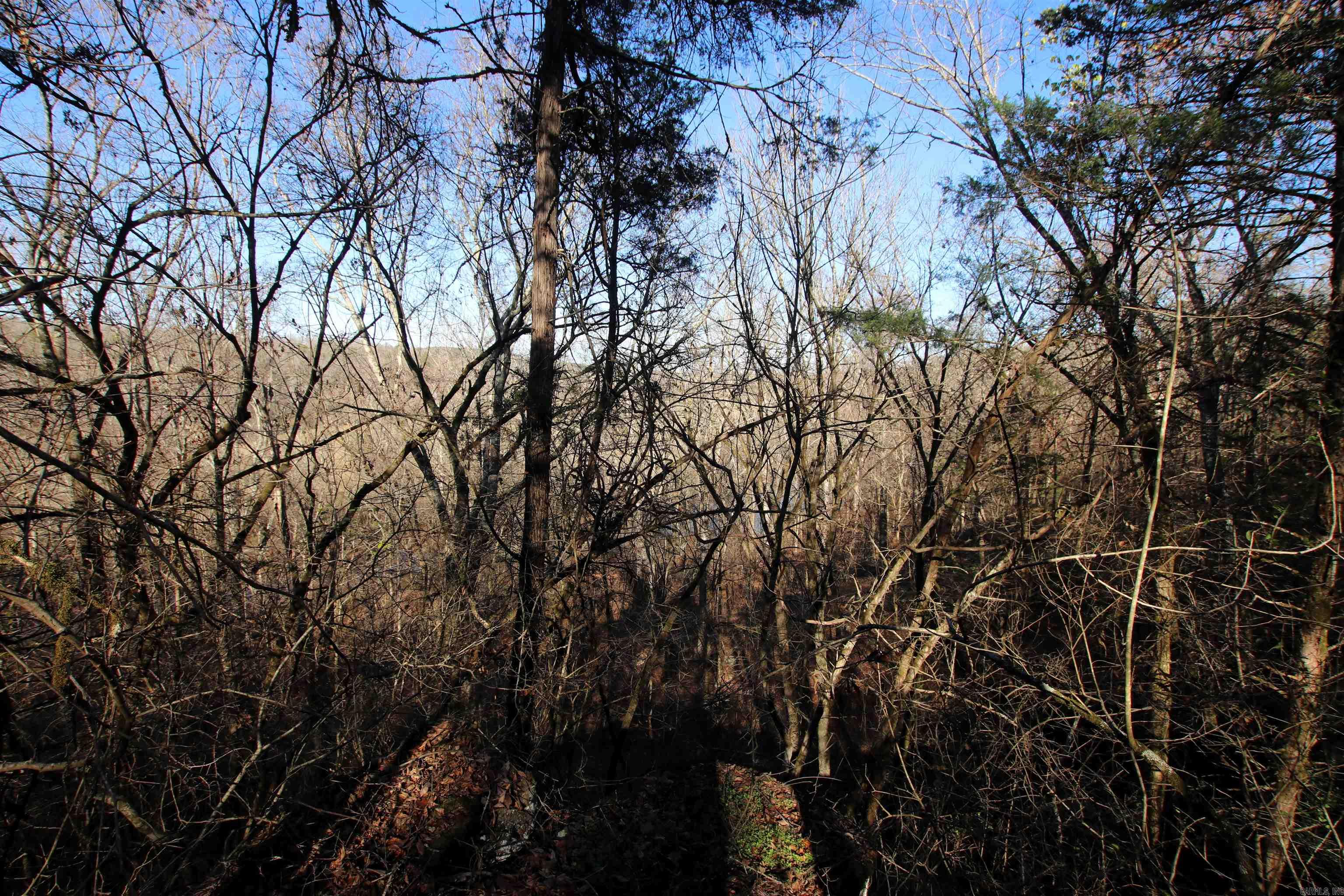 287 Copeland Cave Road Property Photo 30