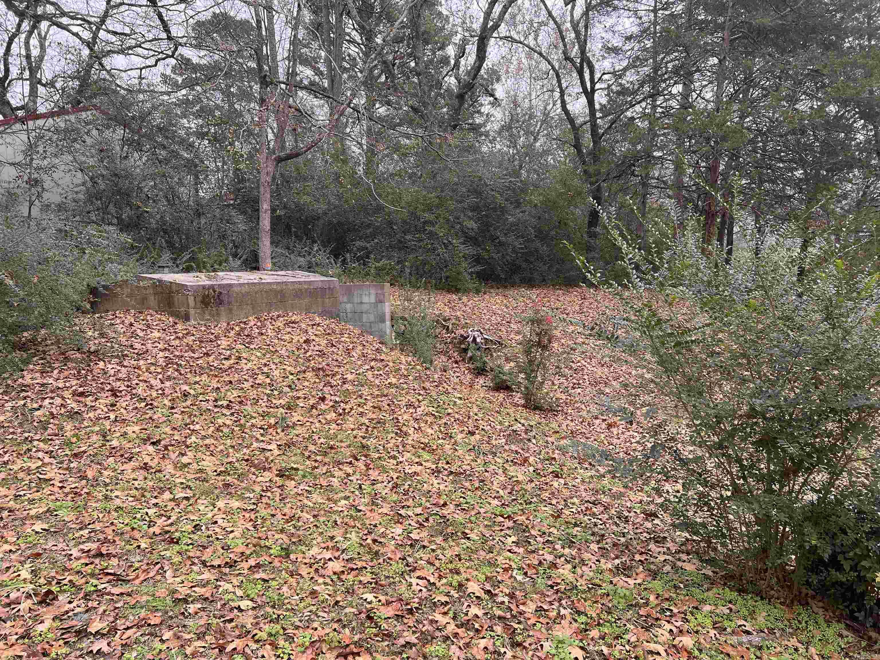 501 N 4th Street Property Photo 22