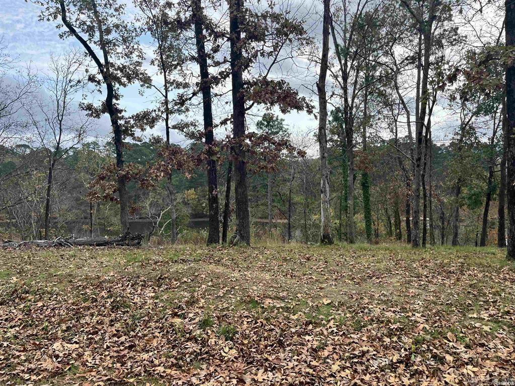 Tbd Warpath Dr Drive Property Photo 11