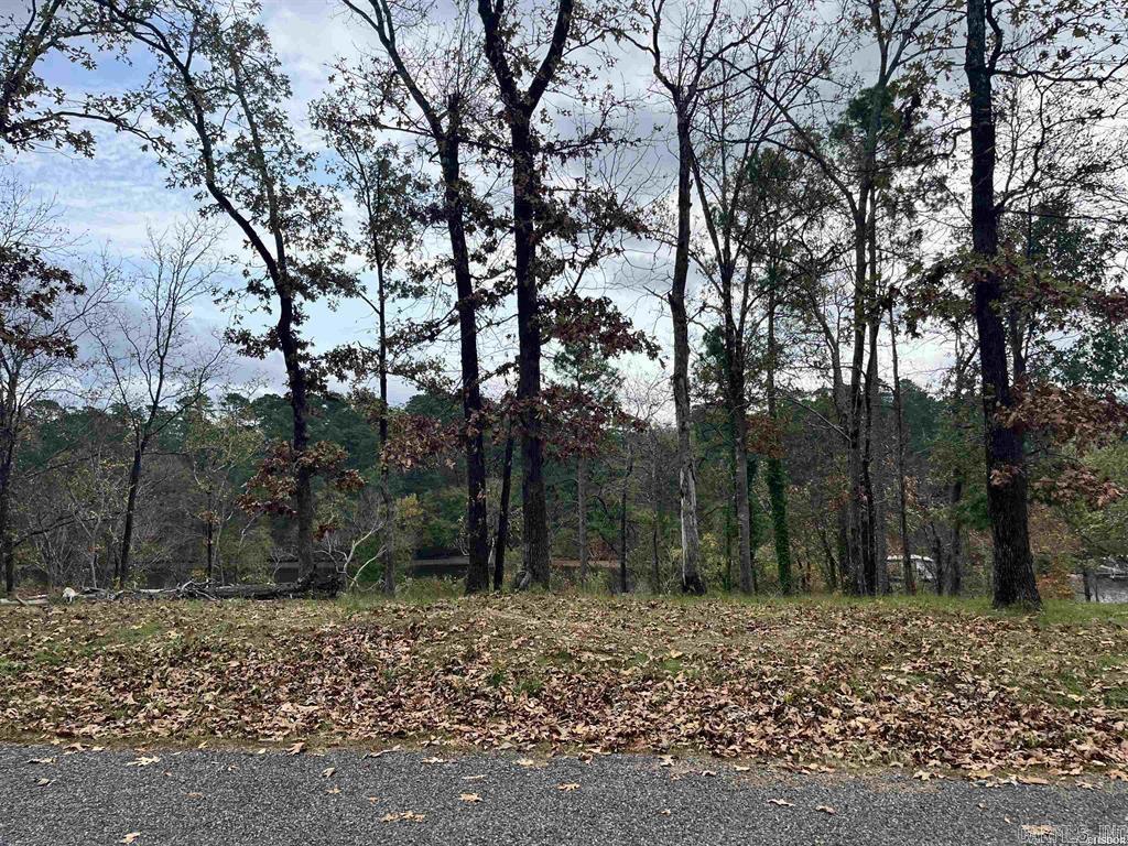 Tbd Warpath Dr Drive Property Photo 12