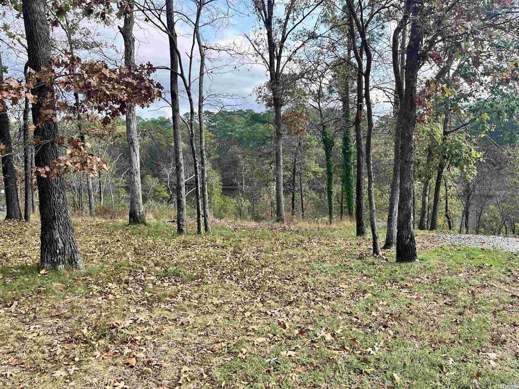 Tbd Warpath Dr Drive Property Photo 19