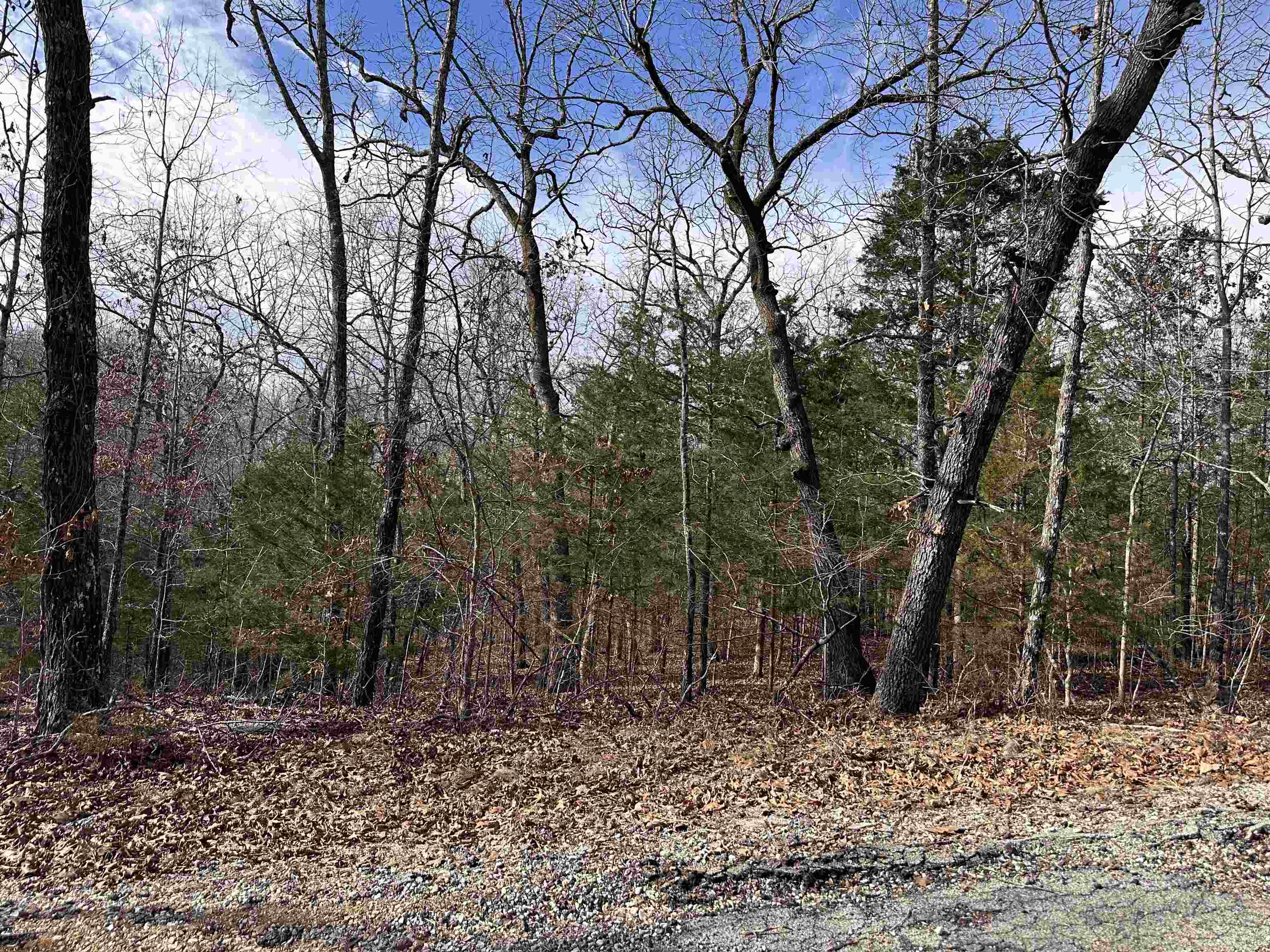 0 Chippewa Drive