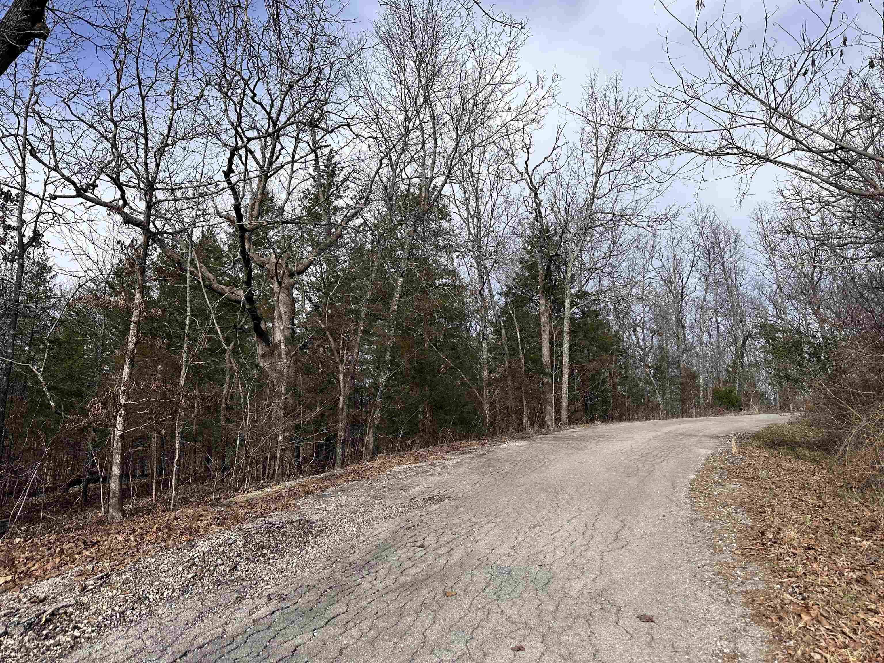0 Chippewa Drive Property Photo 2