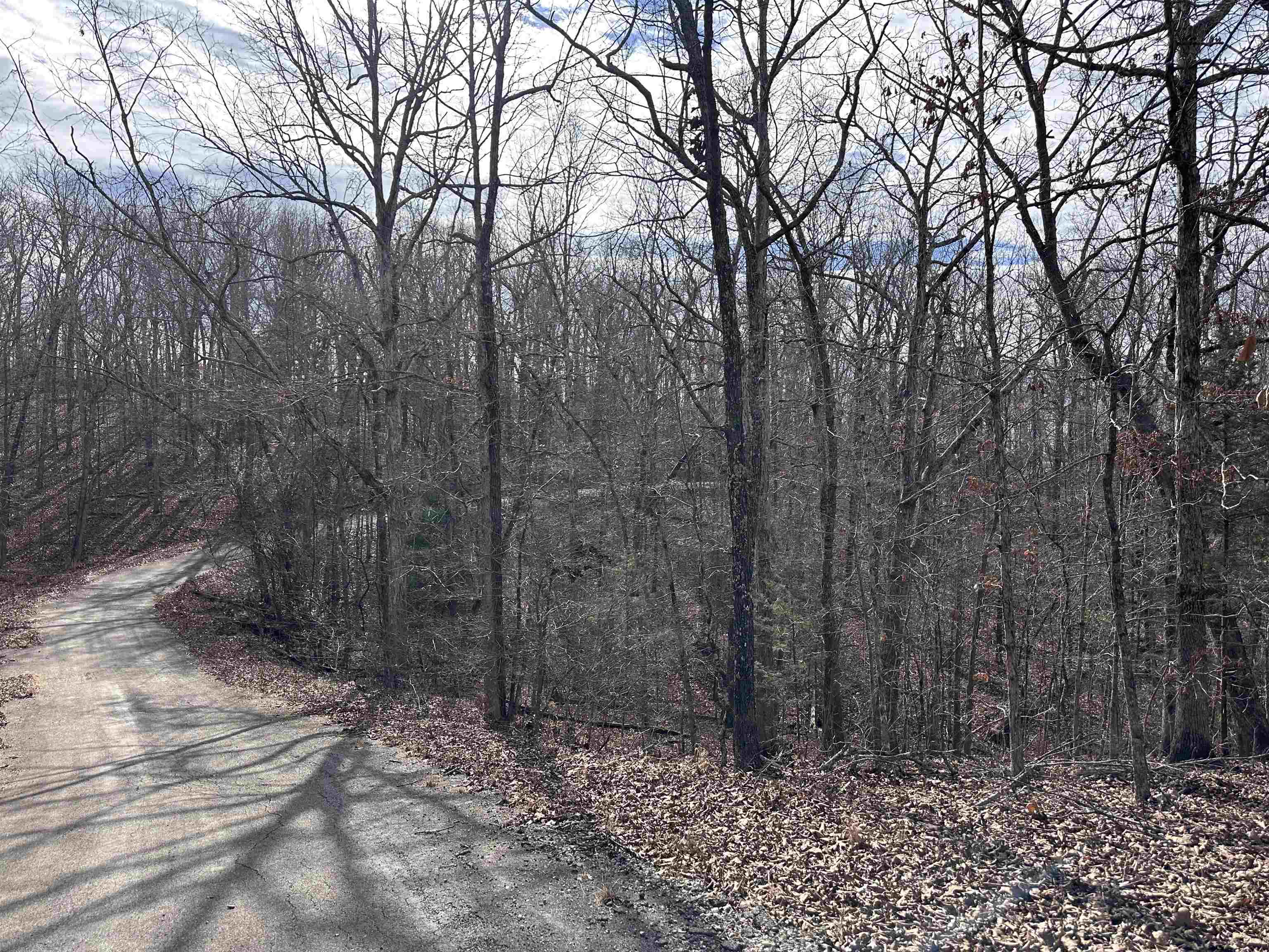 0 Chippewa Drive Property Photo 3