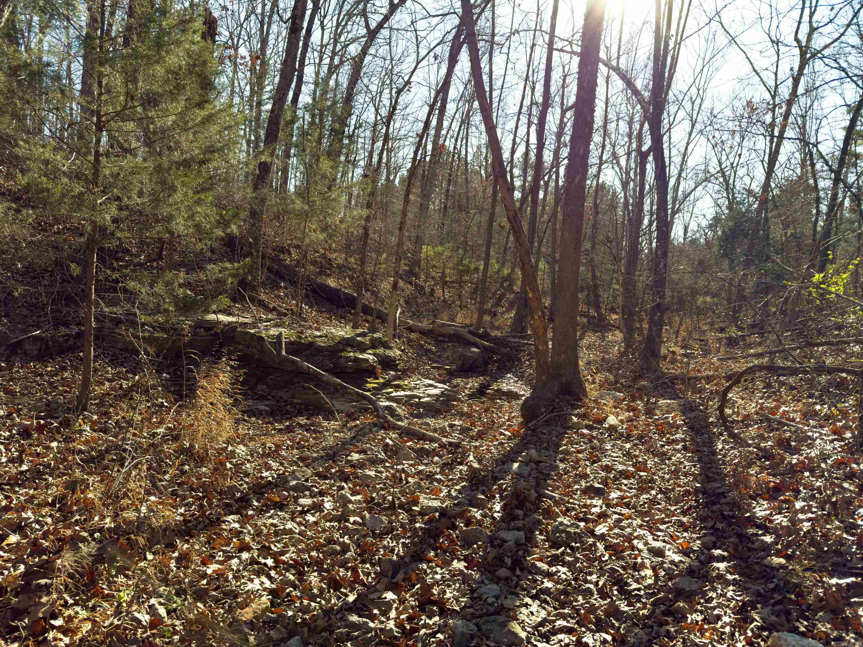 Pleasant Run Rd Property Photo 3