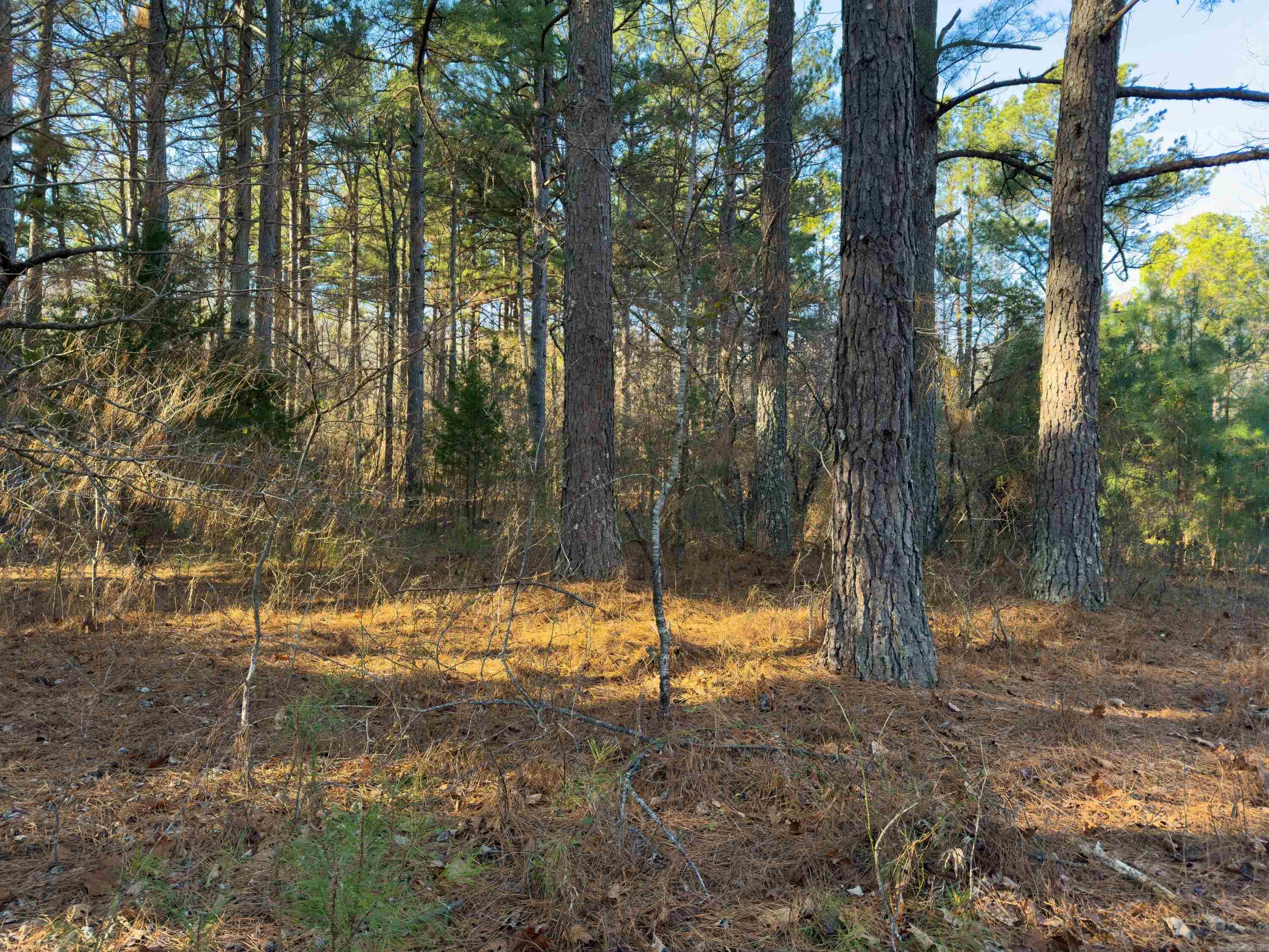 Pleasant Run Rd Property Photo 9