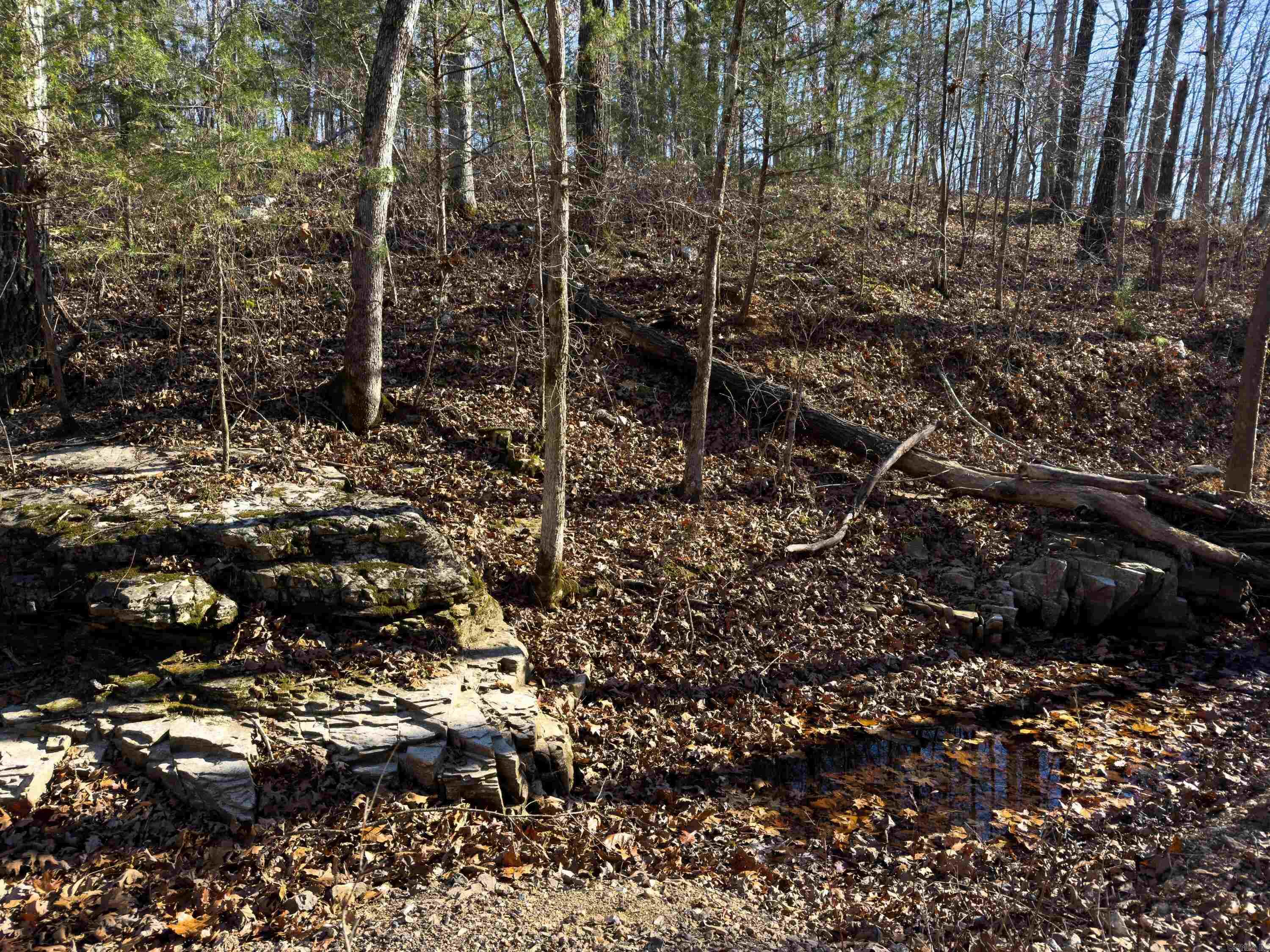 Pleasant Run Rd Property Photo 10