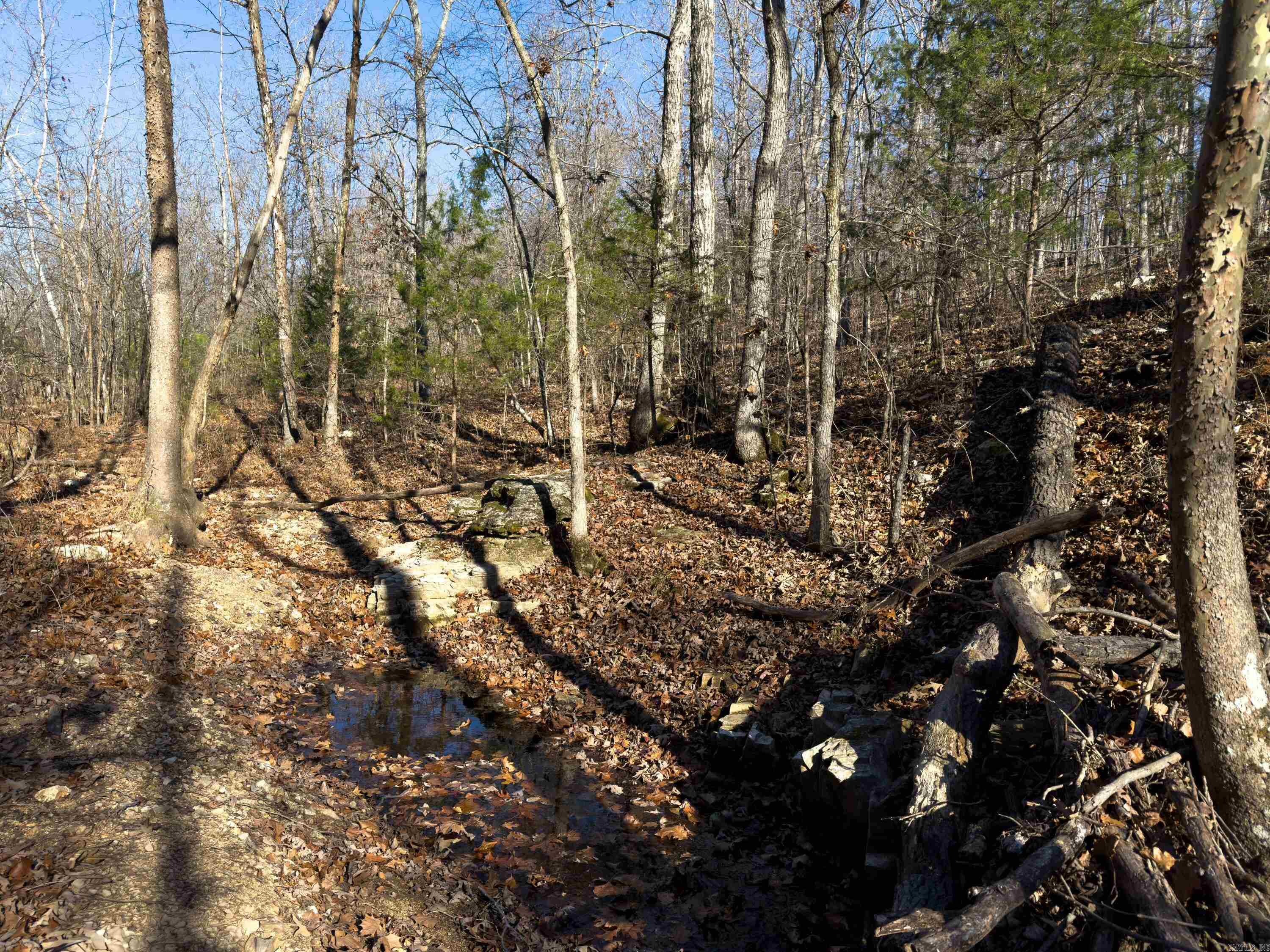 Pleasant Run Rd Property Photo 11