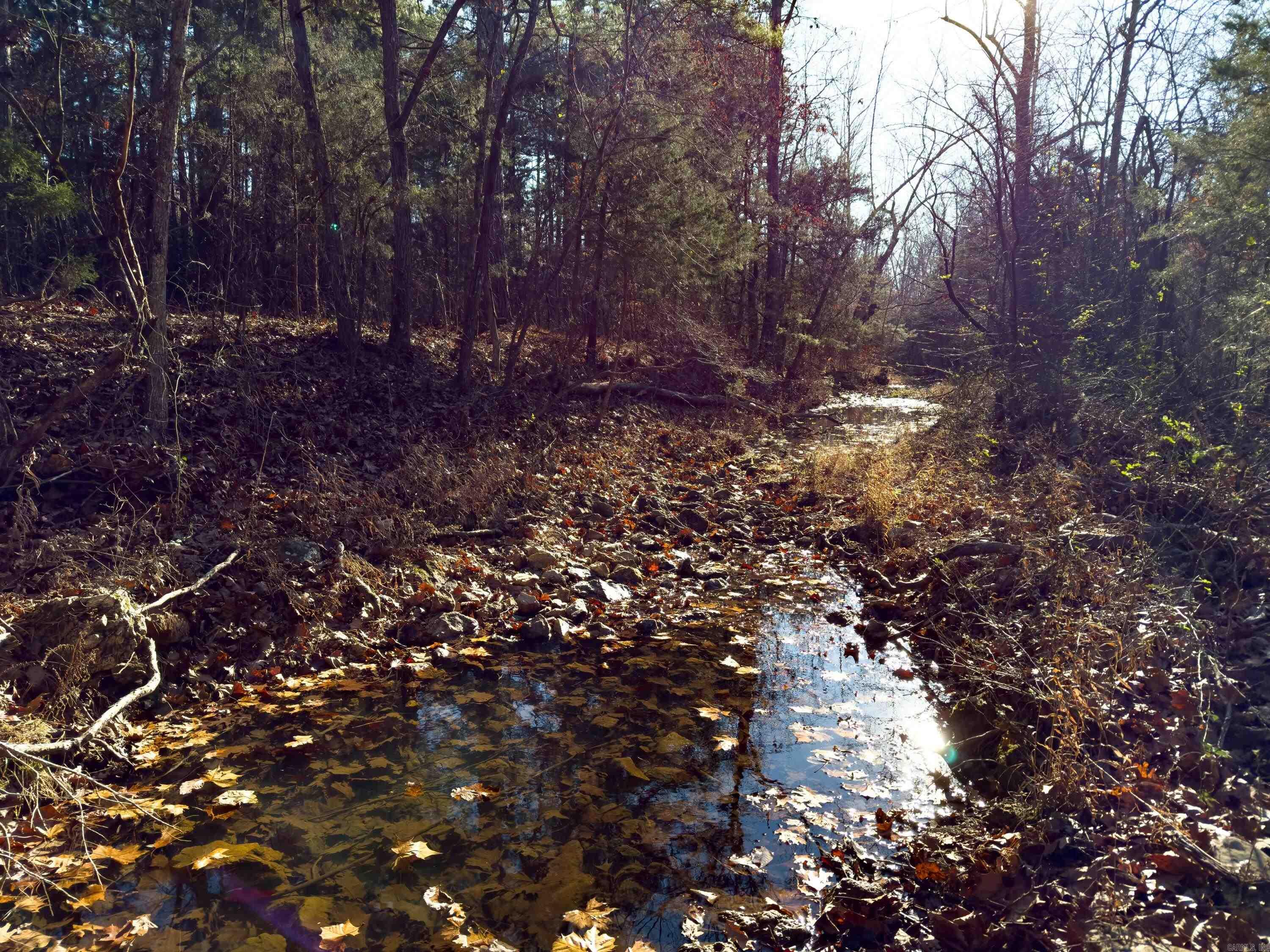Pleasant Run Rd Property Photo 12