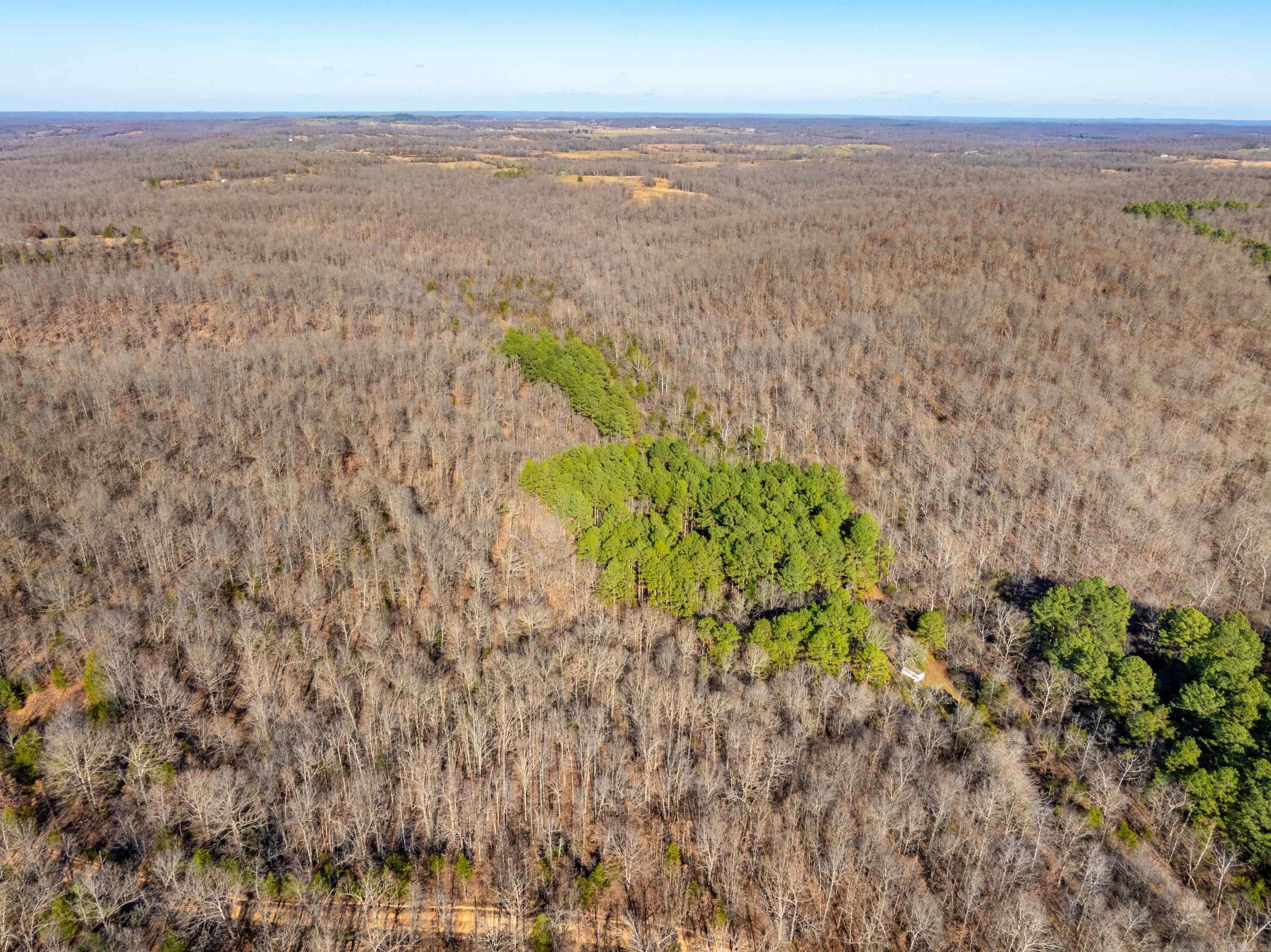Pleasant Run Rd Property Photo 17