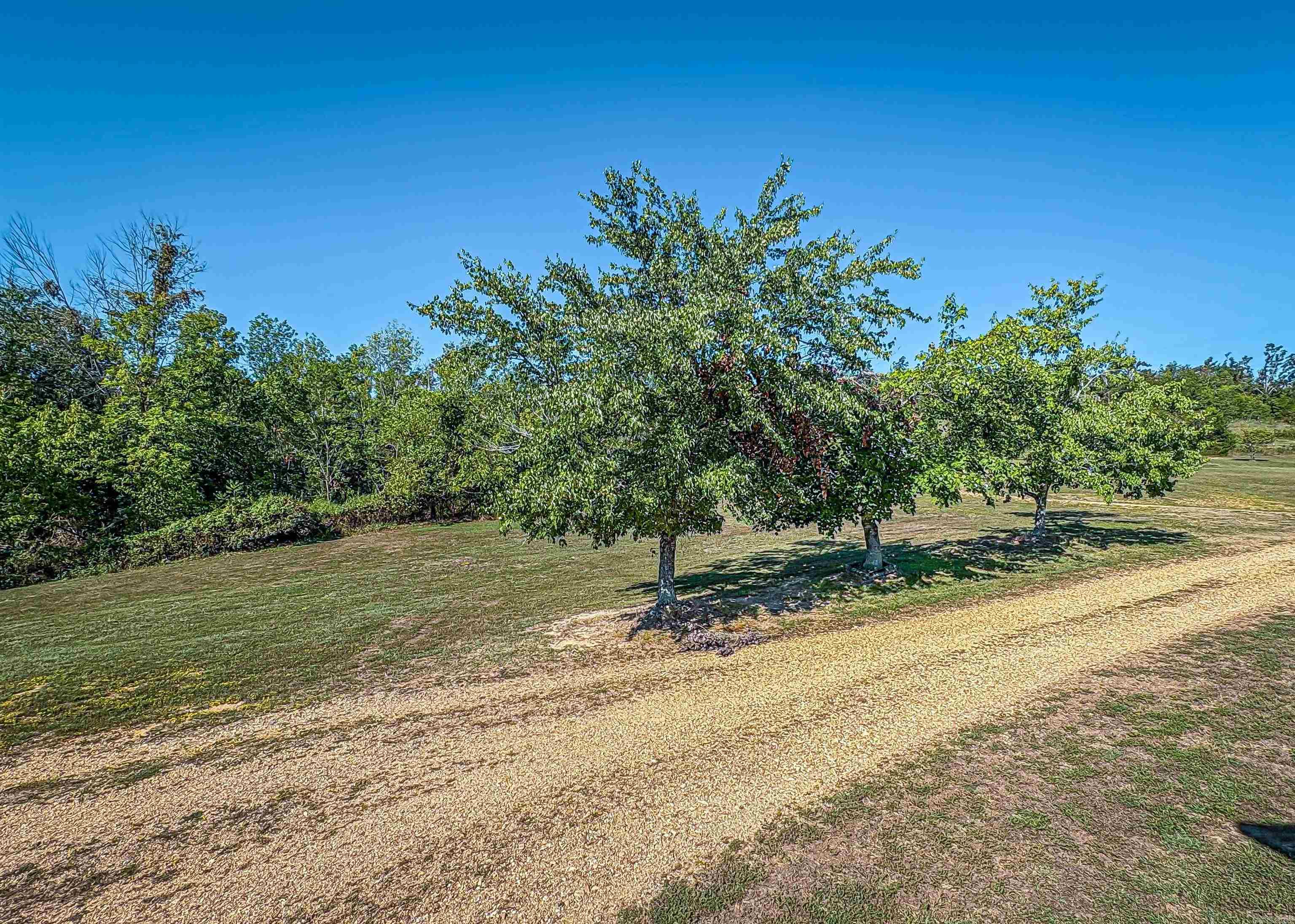 1706 Mc 4006 Property Photo 26