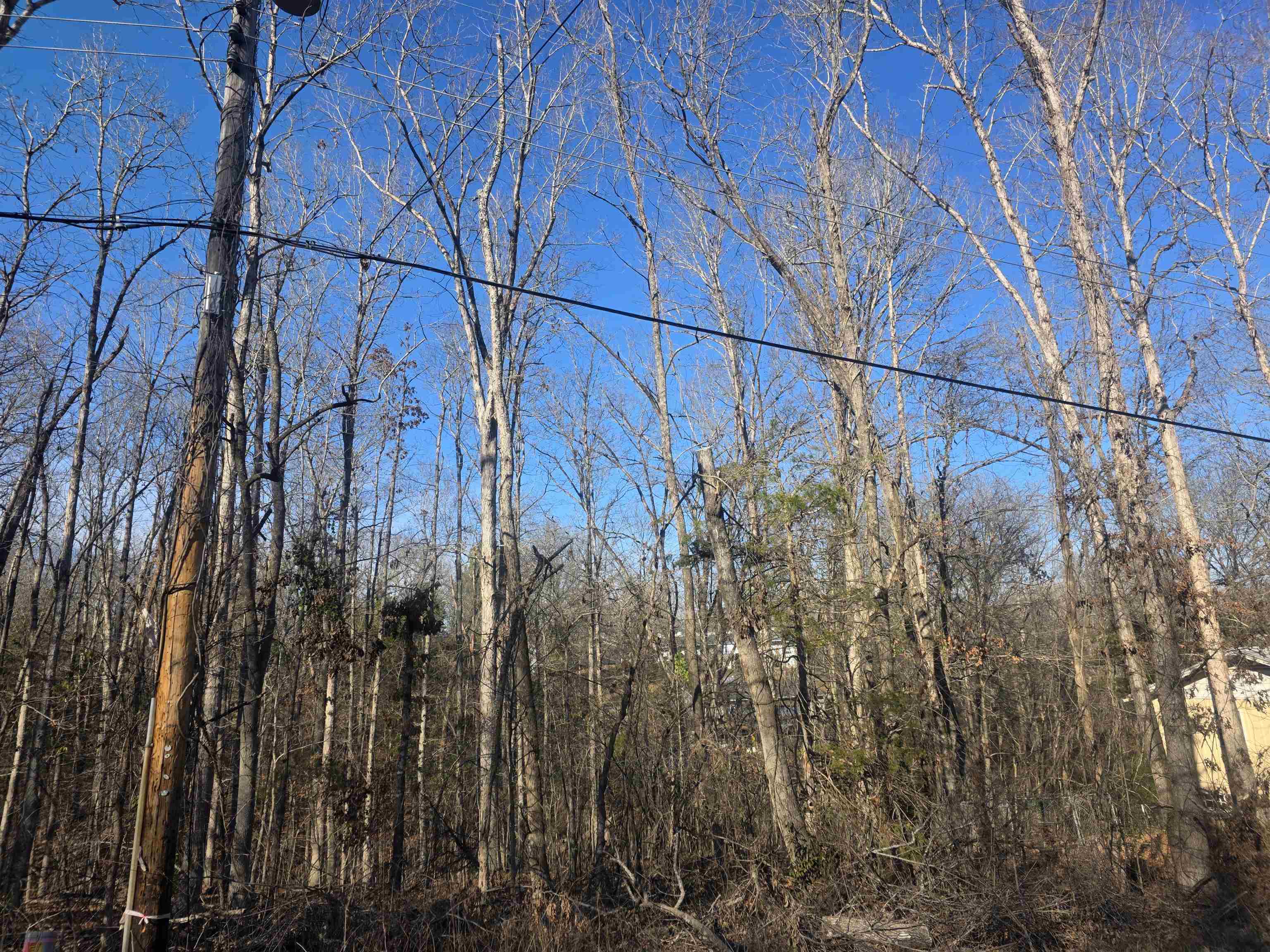 L-4 B-4 Powhatan Drive Property Photo 3