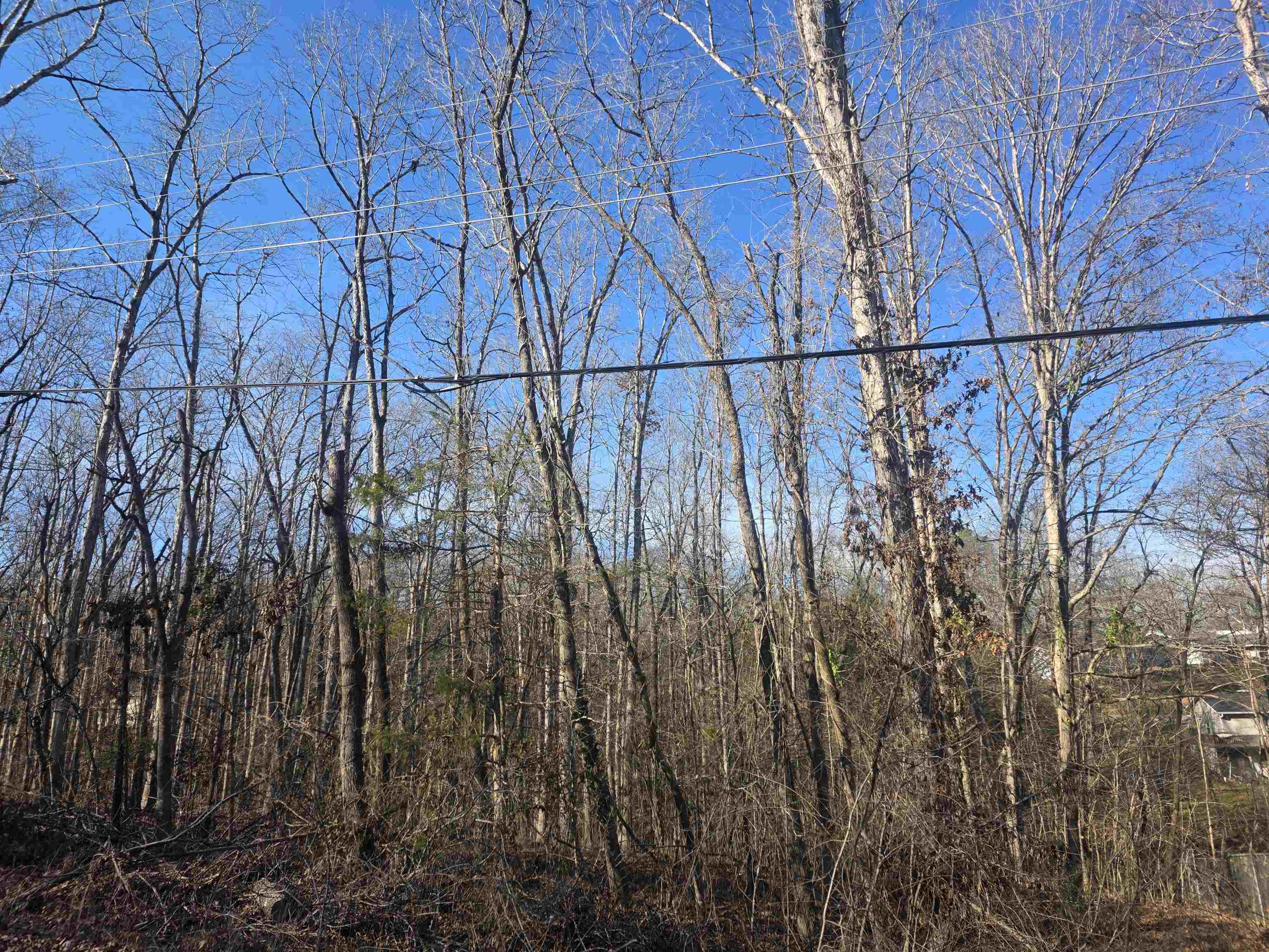 L-4 B-4 Powhatan Drive Property Photo 6