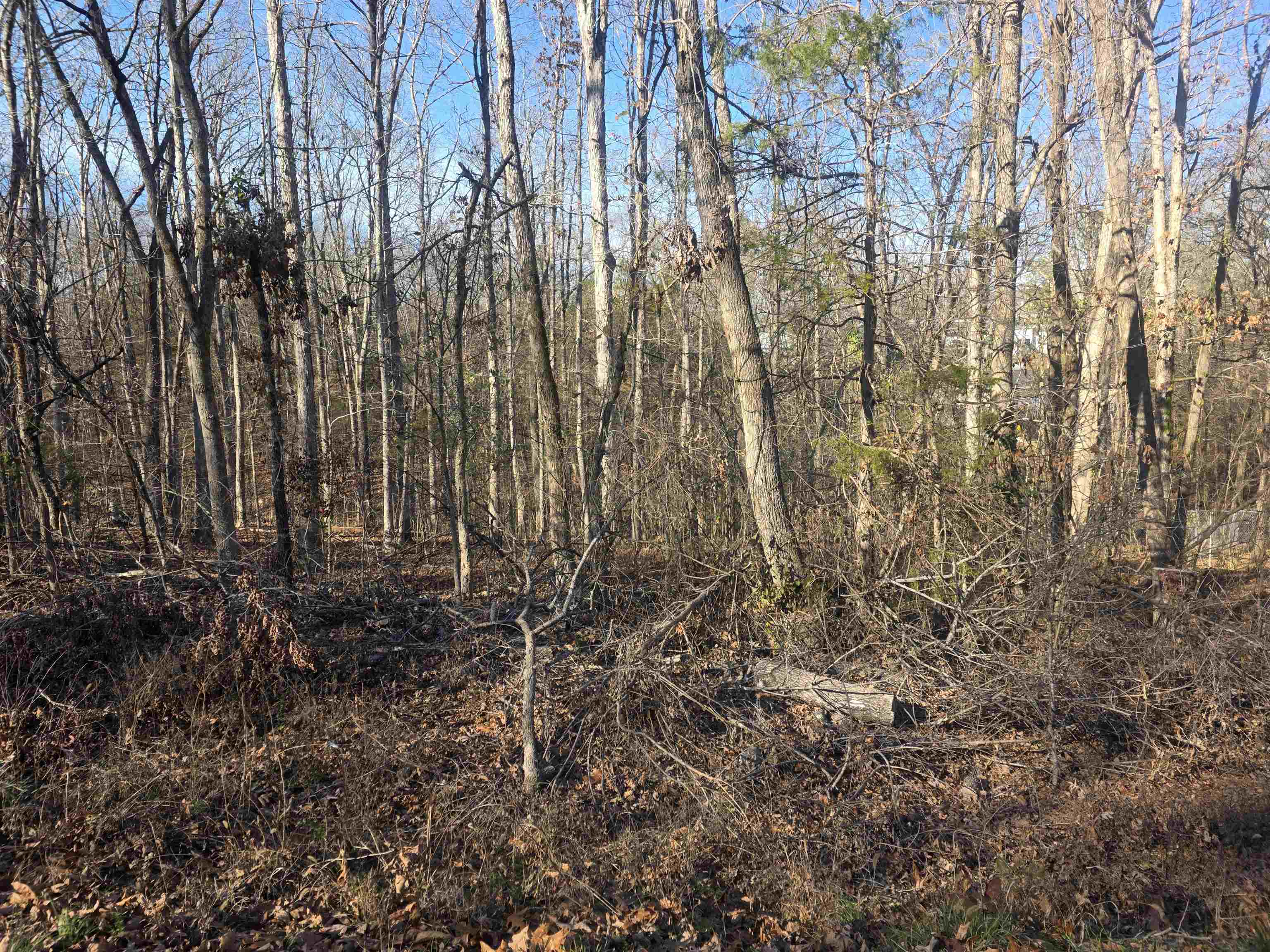 L-4 B-4 Powhatan Drive Property Photo 10