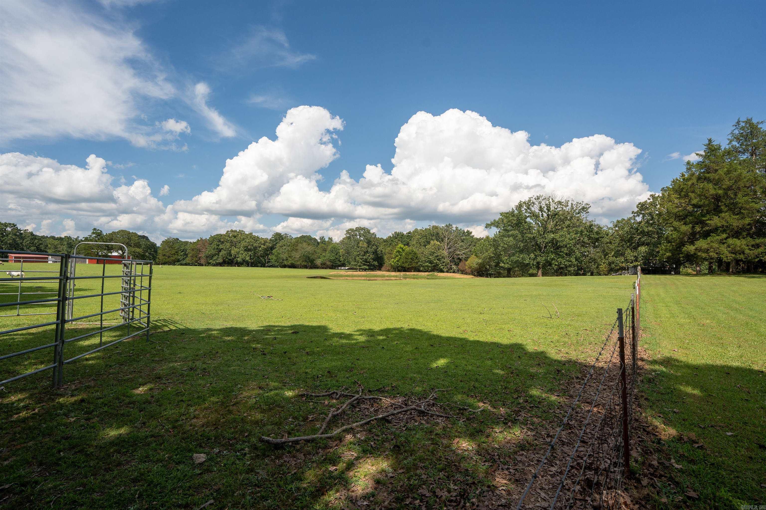 190 Hwy 321 Property Photo 41
