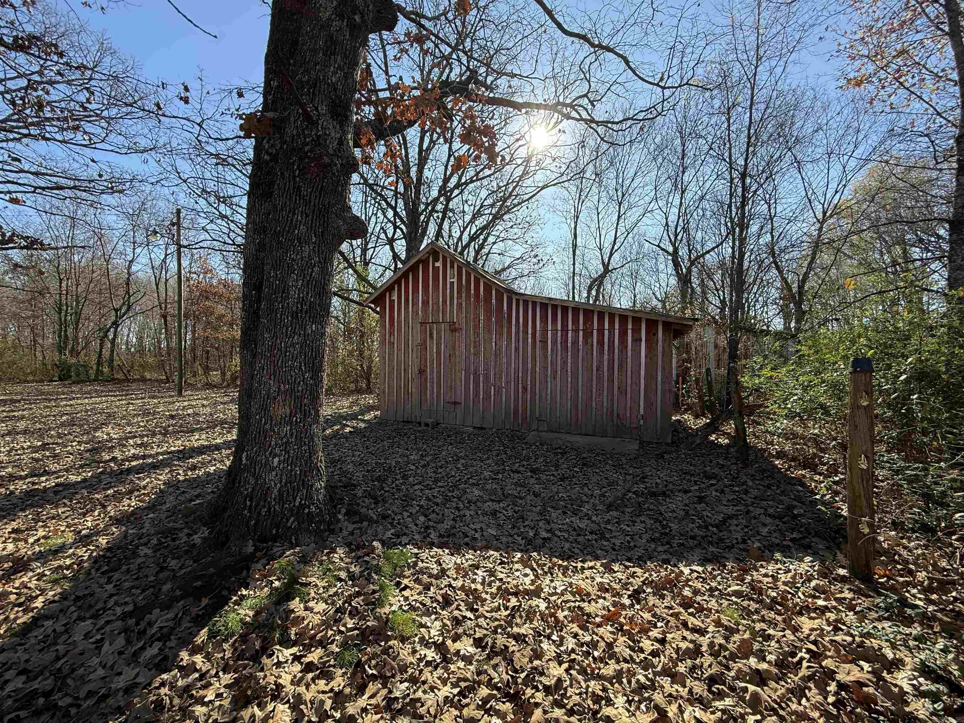 111 Clay 137 Road Property Photo 9