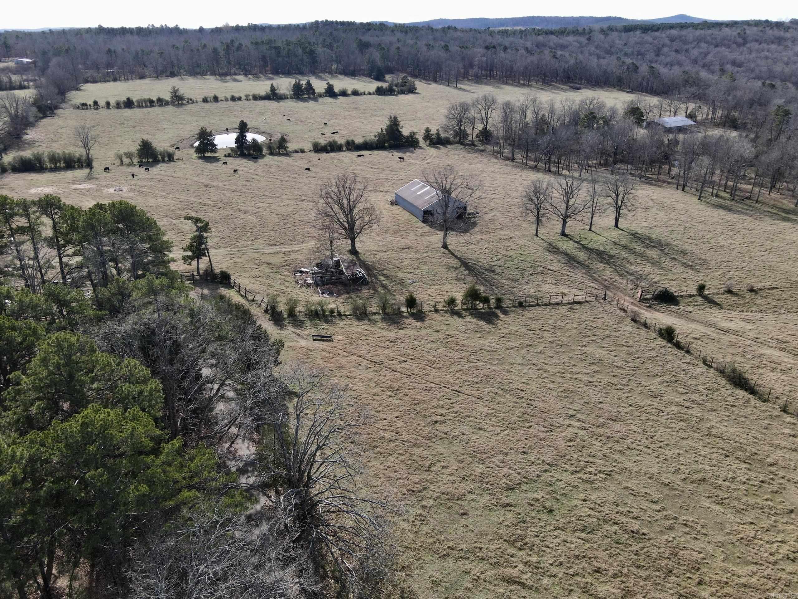 313 Cone Lane Property Photo 37