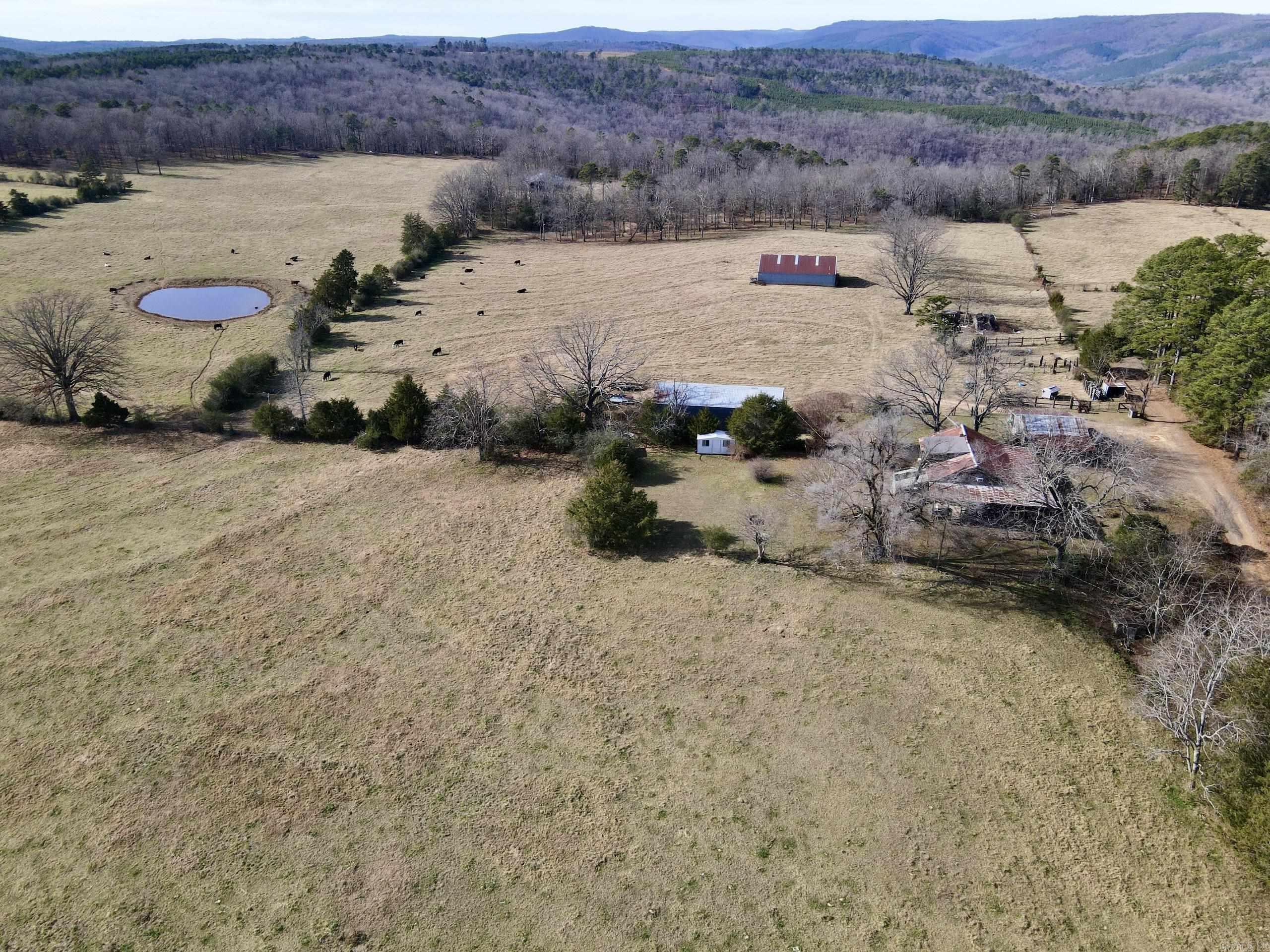 313 Cone Lane Property Photo 39
