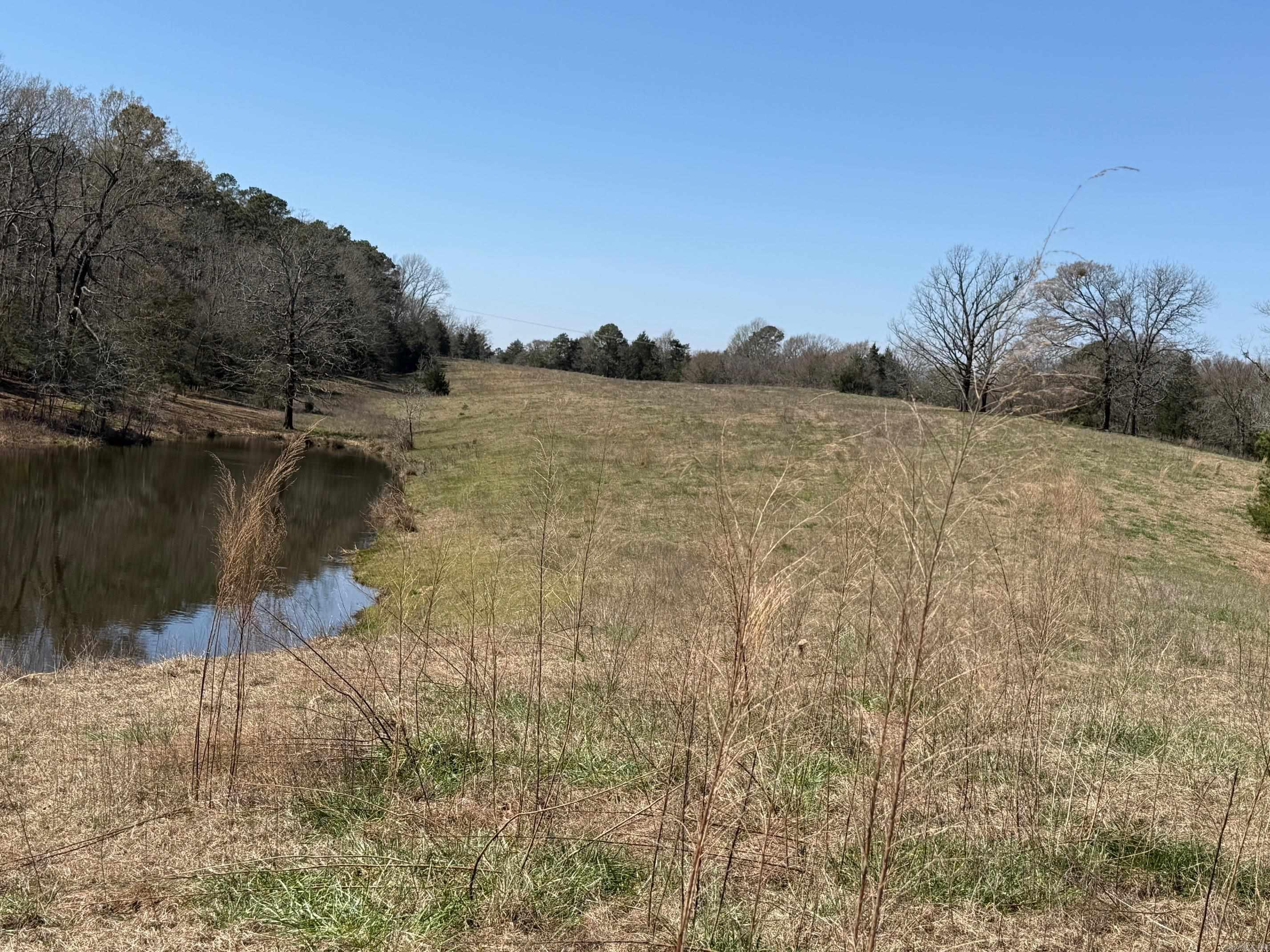 Tbd Easement Road Off Of Polk 295 Property Photo 3