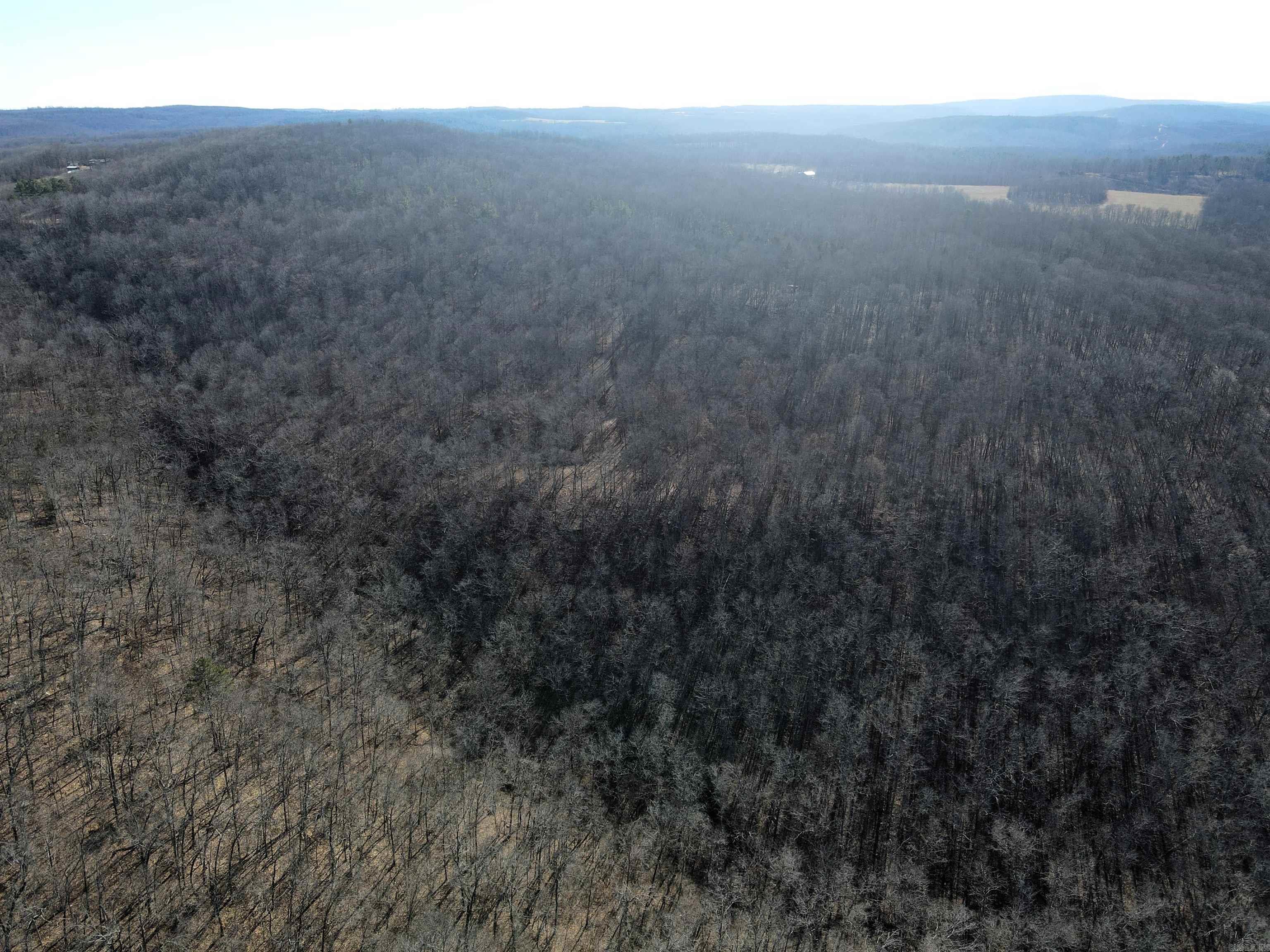 239 Mill Creek Road Property Photo 3
