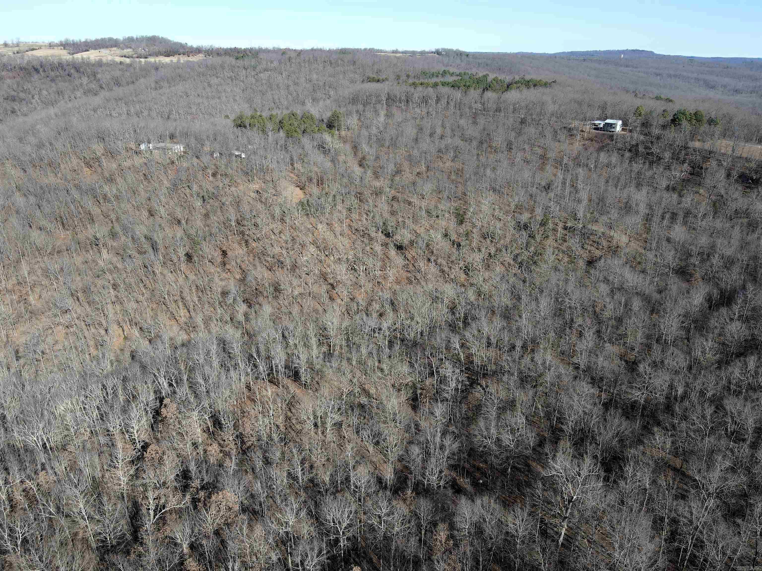 239 Mill Creek Road Property Photo 6