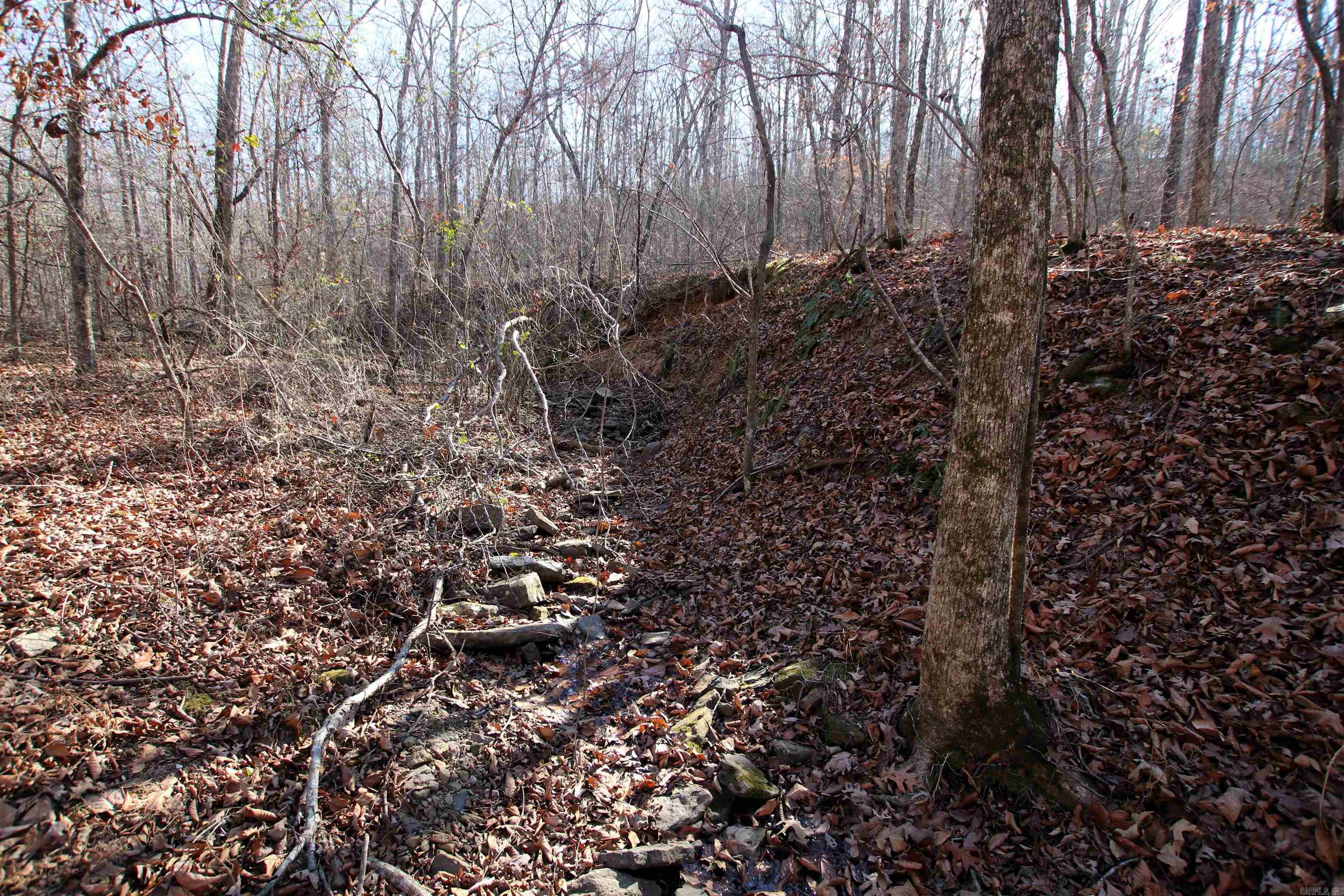239 Mill Creek Road Property Photo 13