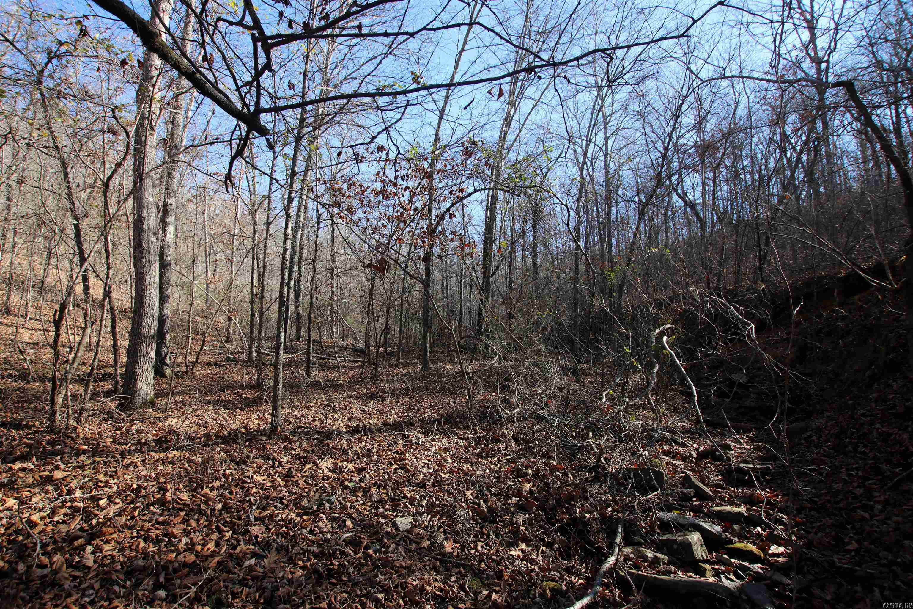239 Mill Creek Road Property Photo 14