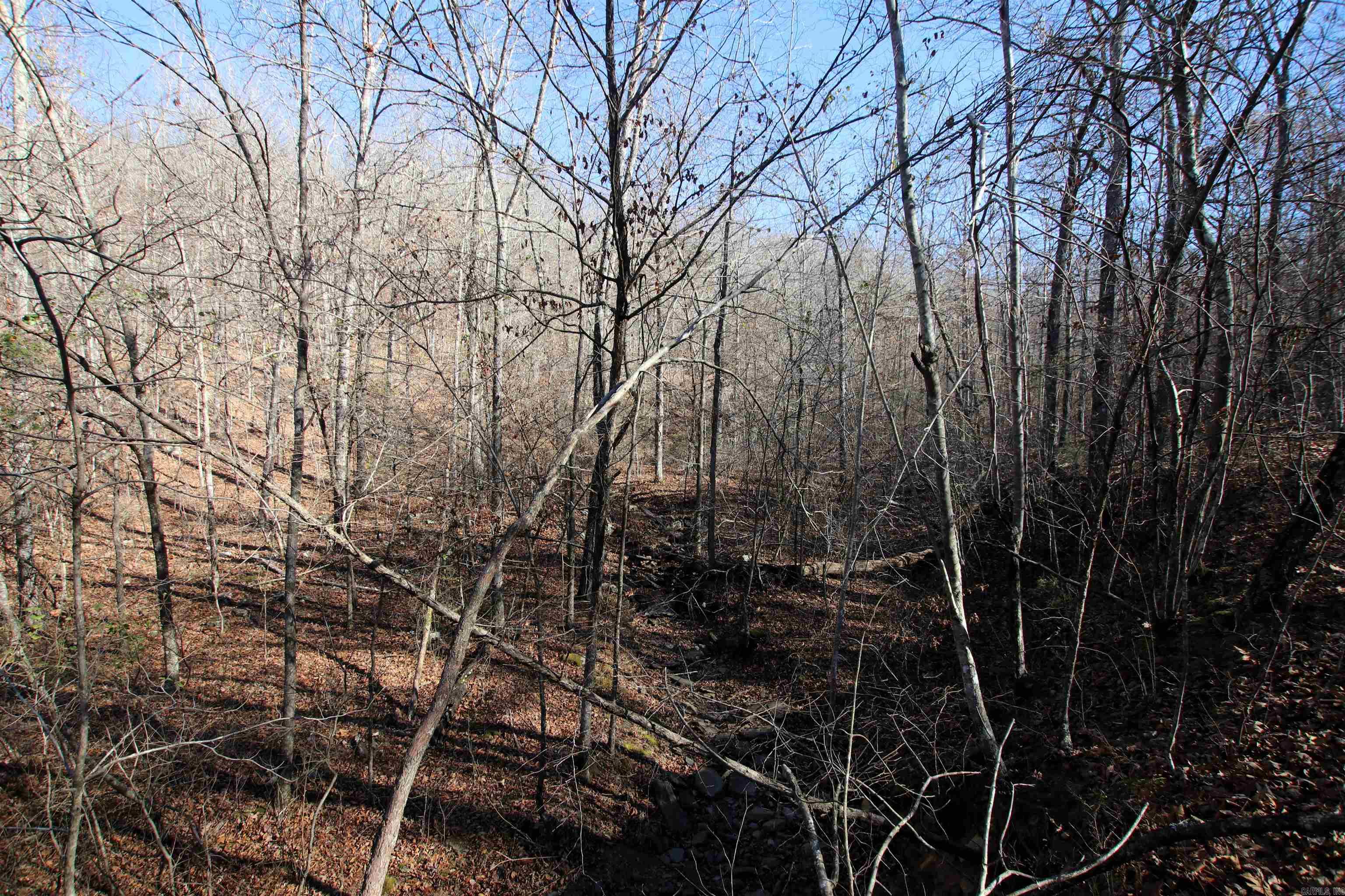 239 Mill Creek Road Property Photo 15