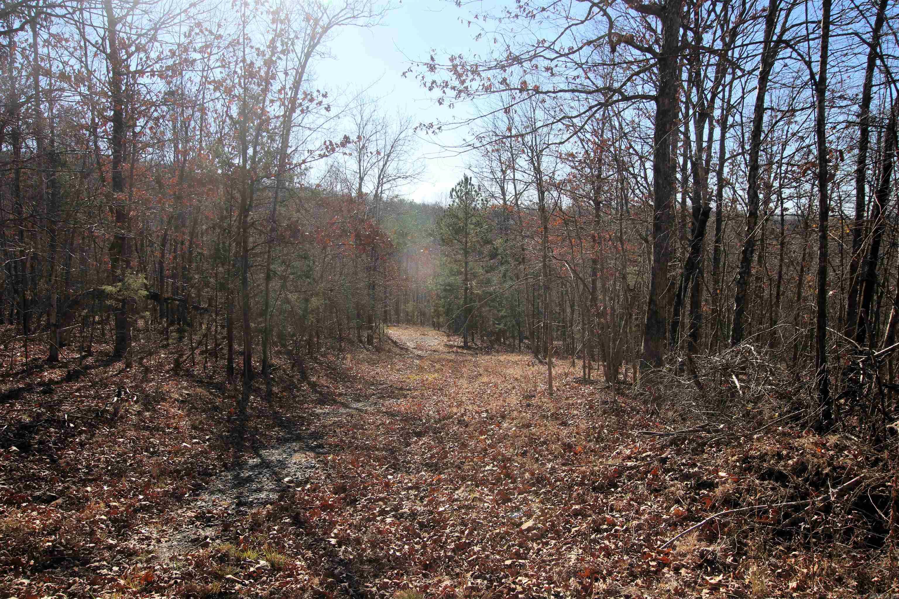 239 Mill Creek Road Property Photo 17
